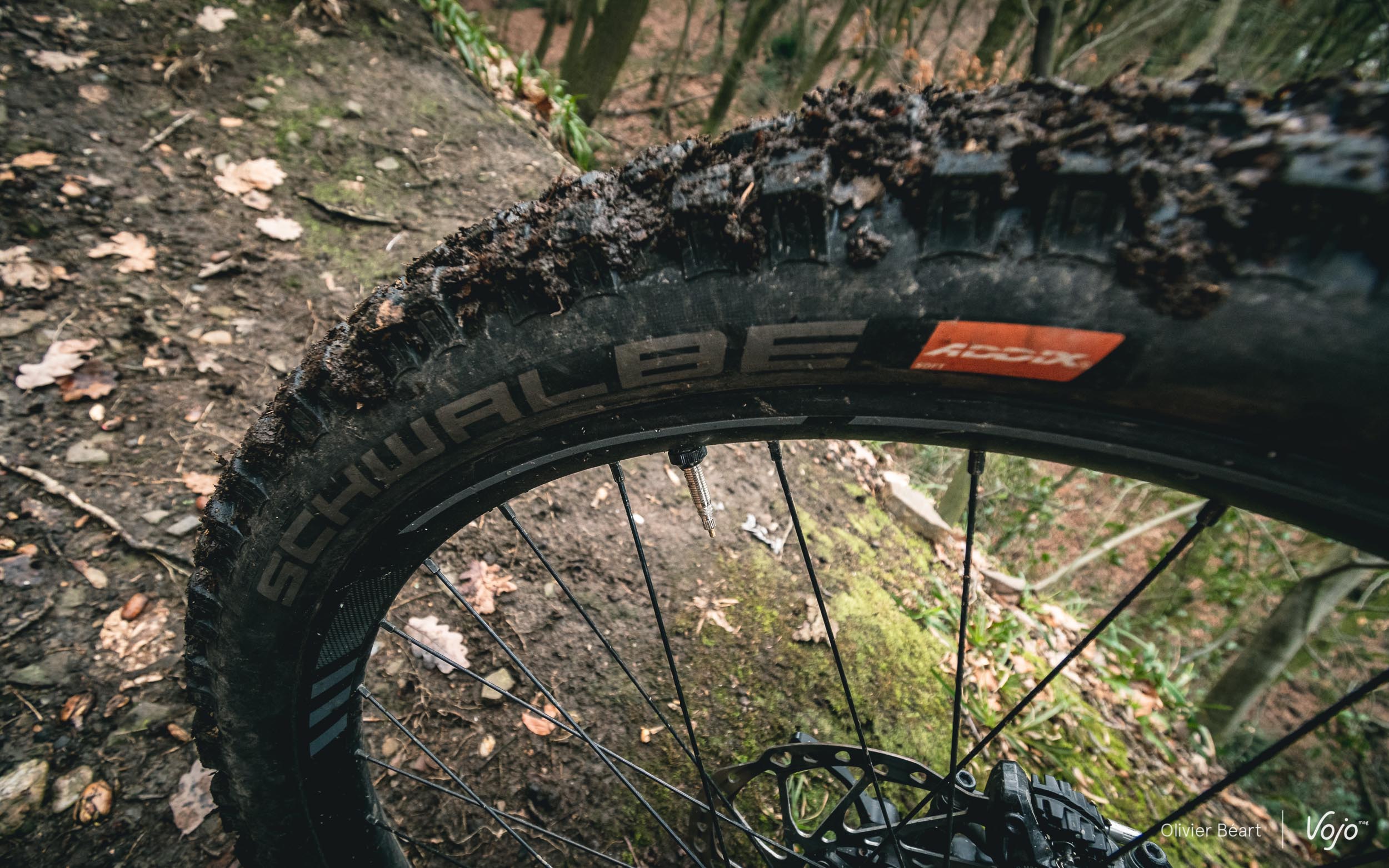 mate volume Nog steeds Test | Schwalbe Eddy Current: een massieve e-mountainbikeband met tonnen  grip! - Vojo Magazine