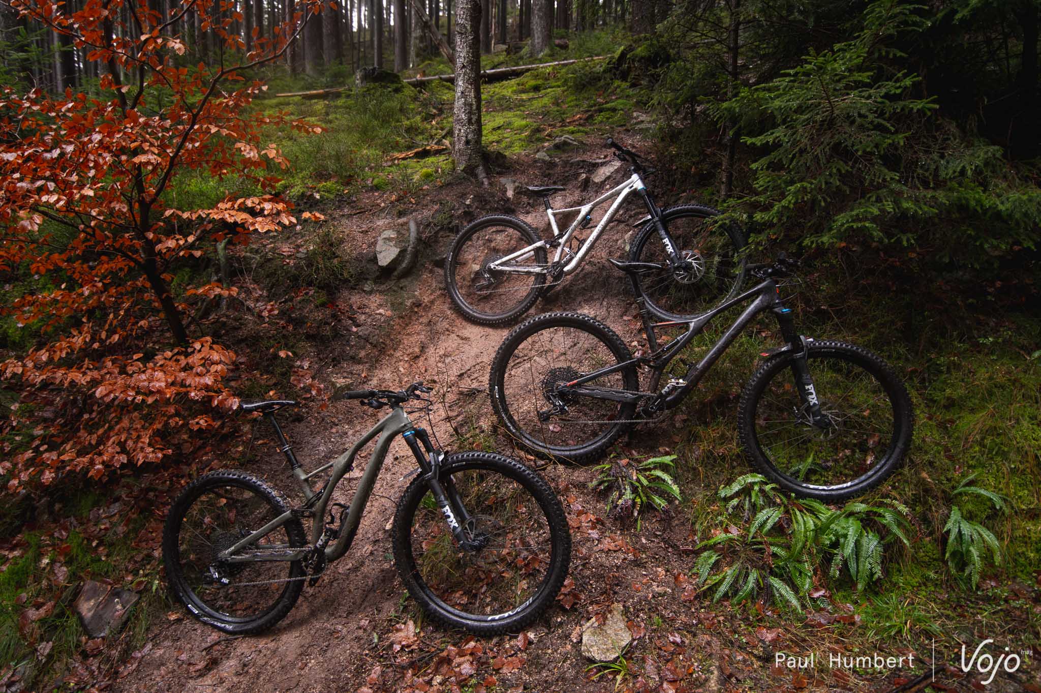 Test gamme | Specialized Stumpjumper ST, LT et EVO – Une famille et trois caractères : lequel choisir ? - Specialized Stumpjumper ST, LT & Evo : le test terrain