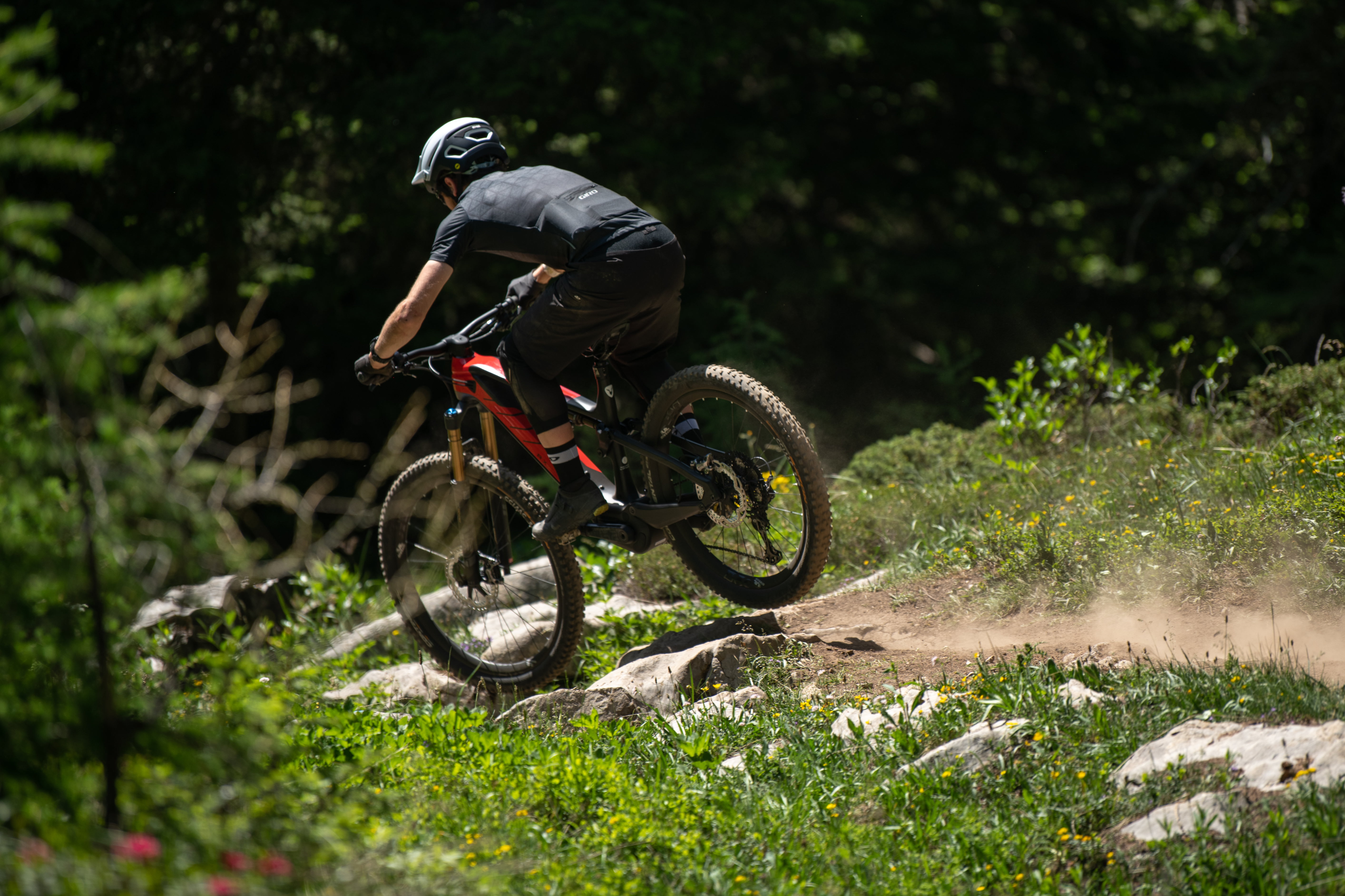 Mountain Bike Connection Summer – Luigi Sestili