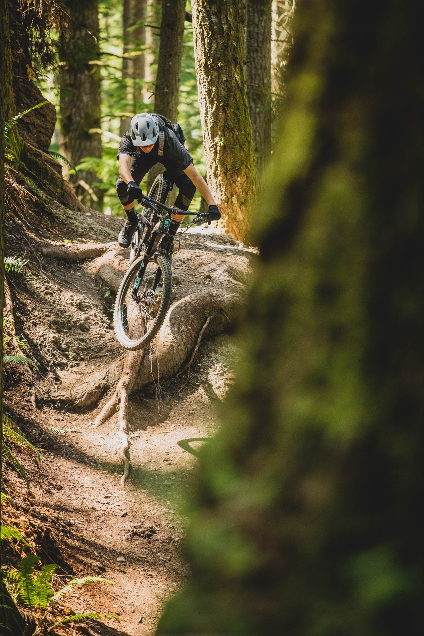 Test nouveauté Kona Process 134 Bellingham dans l'ADN Vojo Magazine