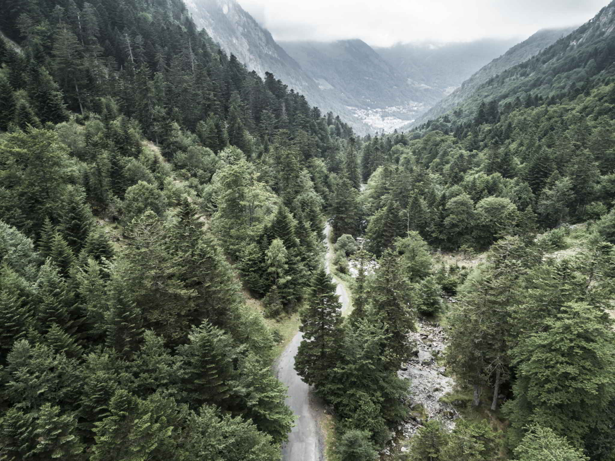 Des forêts verdoyantes côté français tranchent avec le côté espagnol, bien plus aride. Photo : Juanjo Otazu – Indomit Visuals