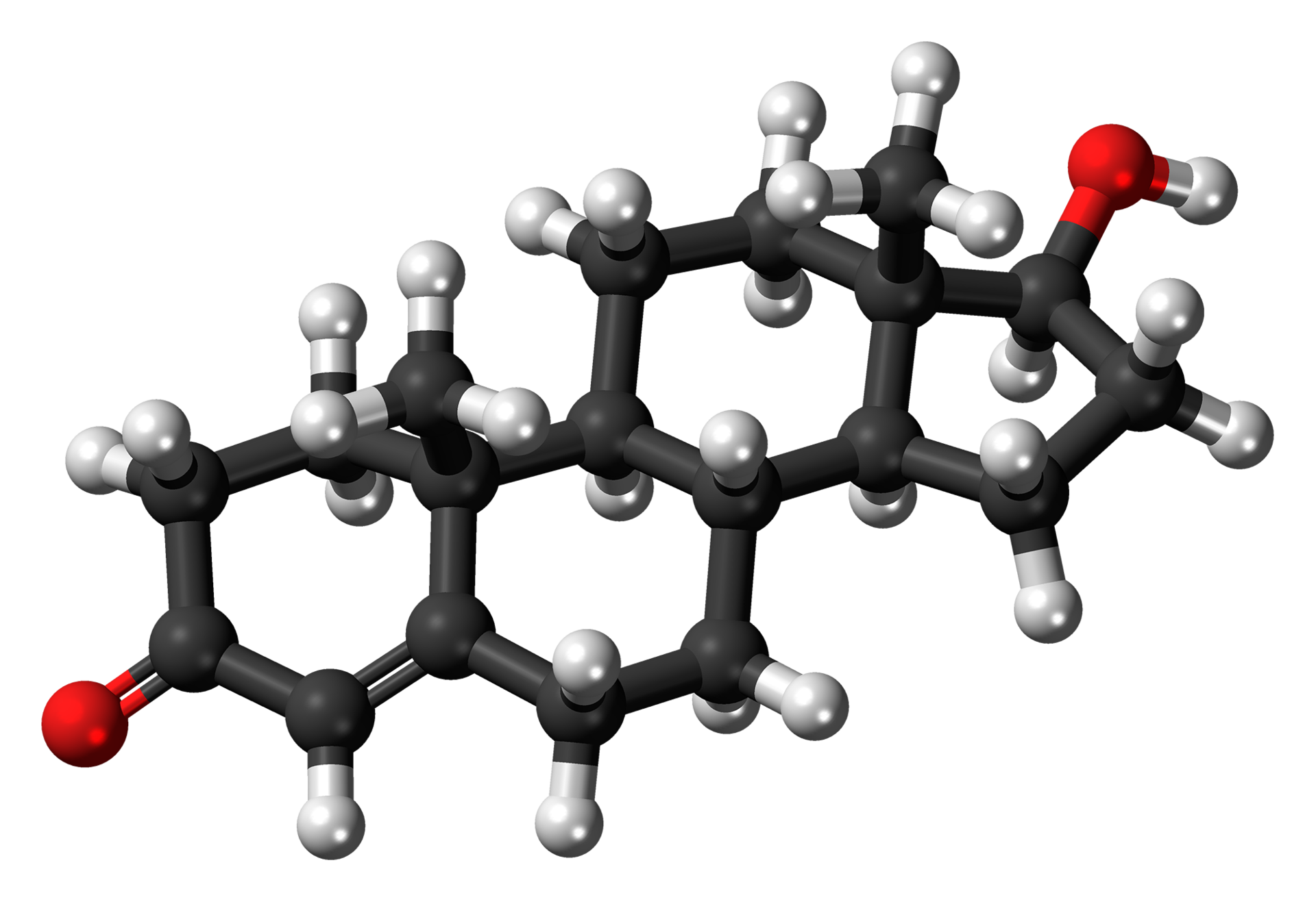 Une molécule de testostérone
