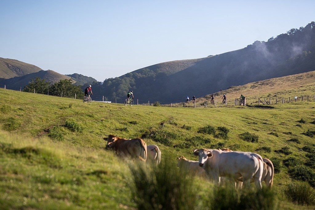 Transpyr 2020 : rendez-vous le 14 juin !