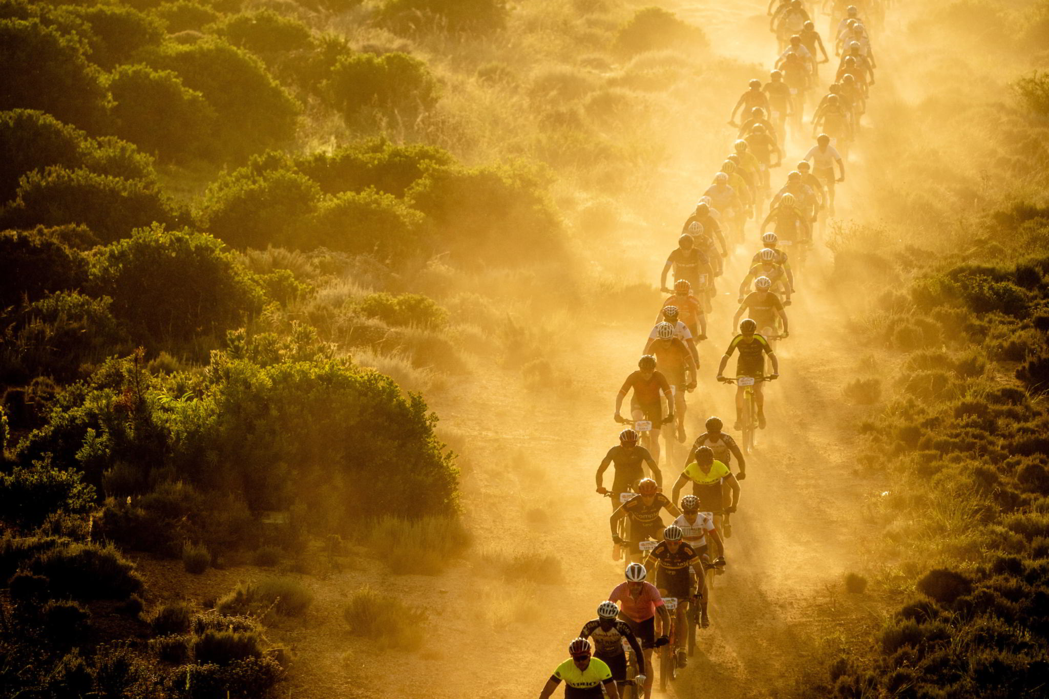 Le Cape Epic 2020 est annulé !