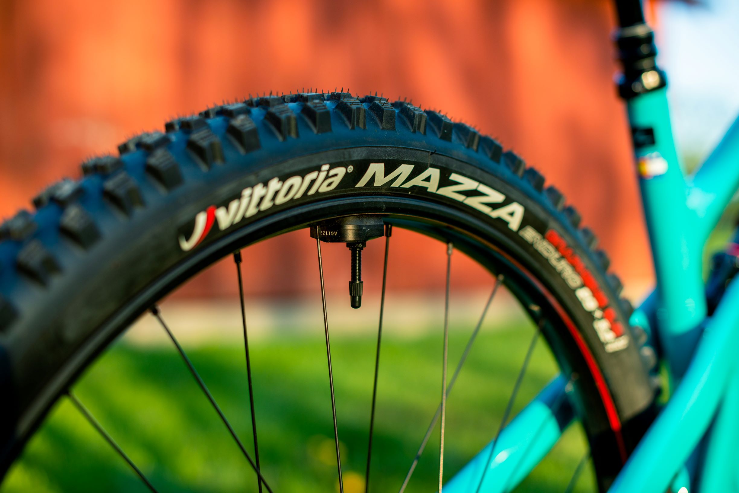 Nouveauté | Vittoria Mazza : un pneu polyvalent pour l’enduro