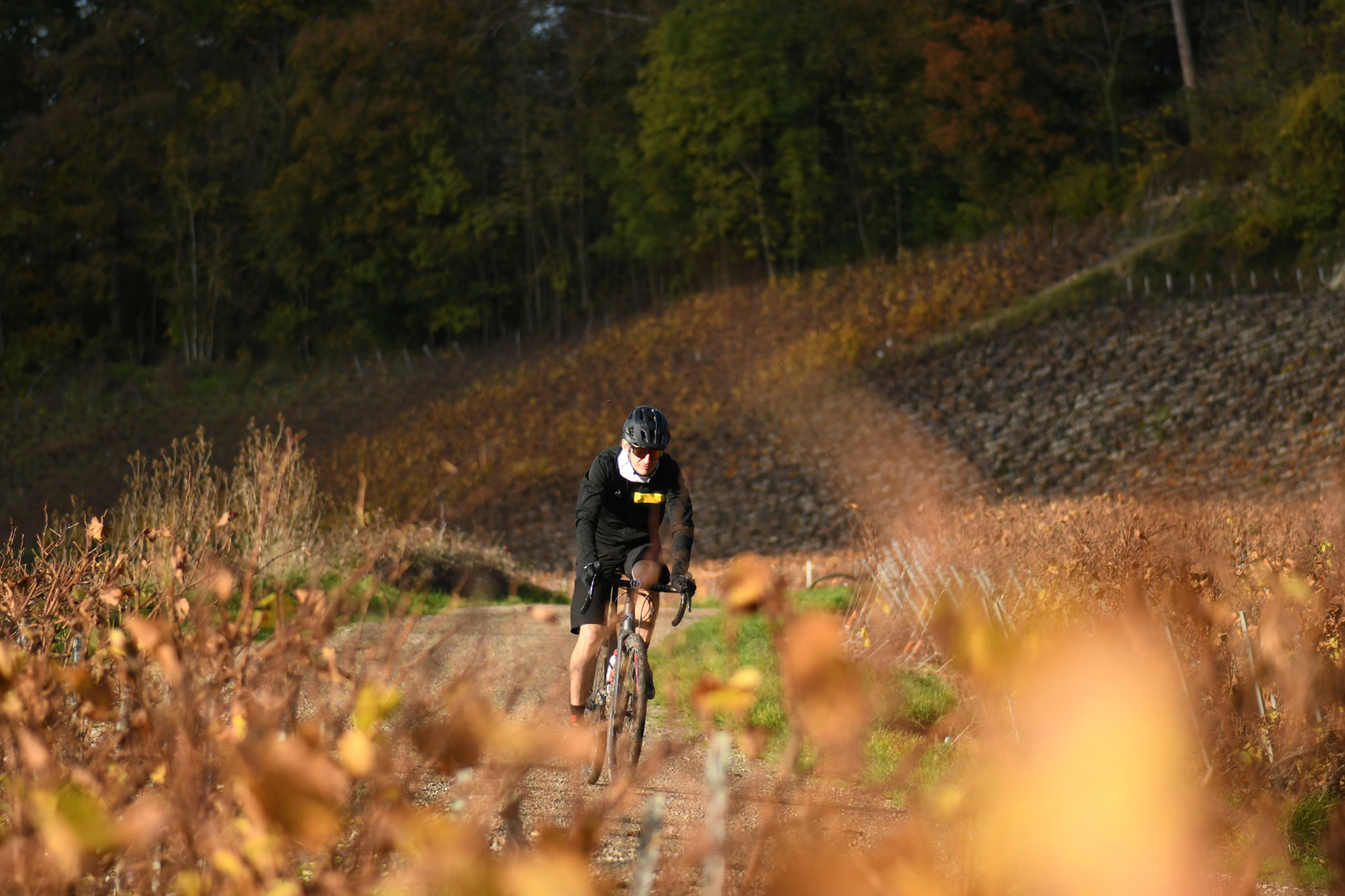 Découverte | Modestie et noblesse : la Champagne en gravel