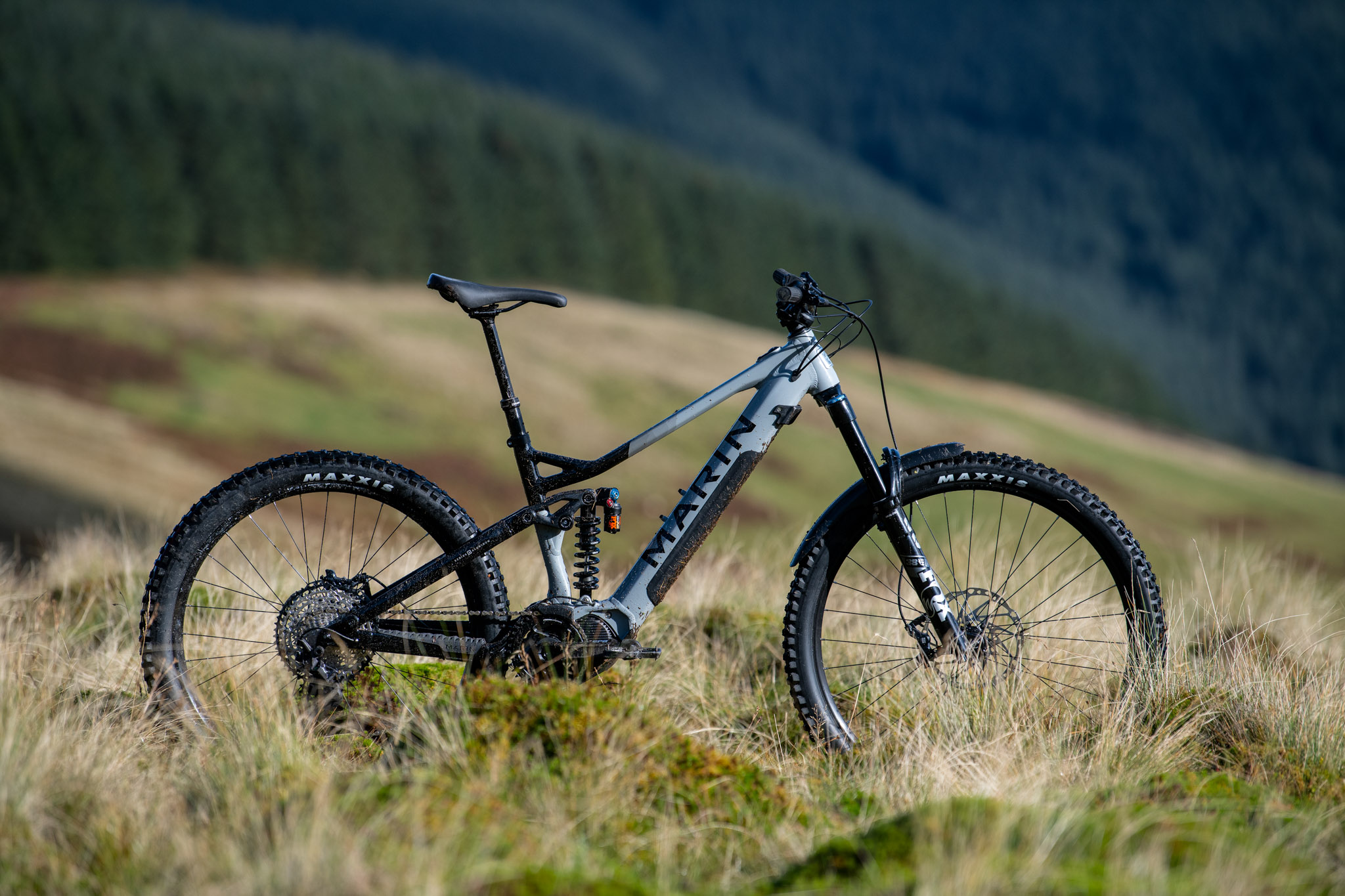 Marin alpine sales