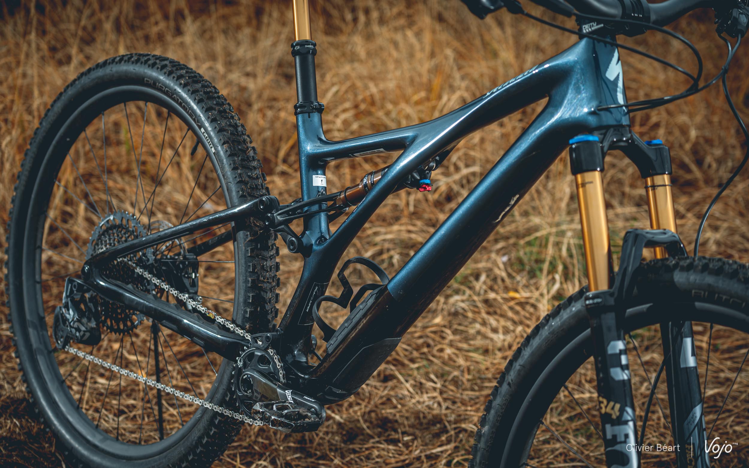 Stumpjumper 2021 test deals