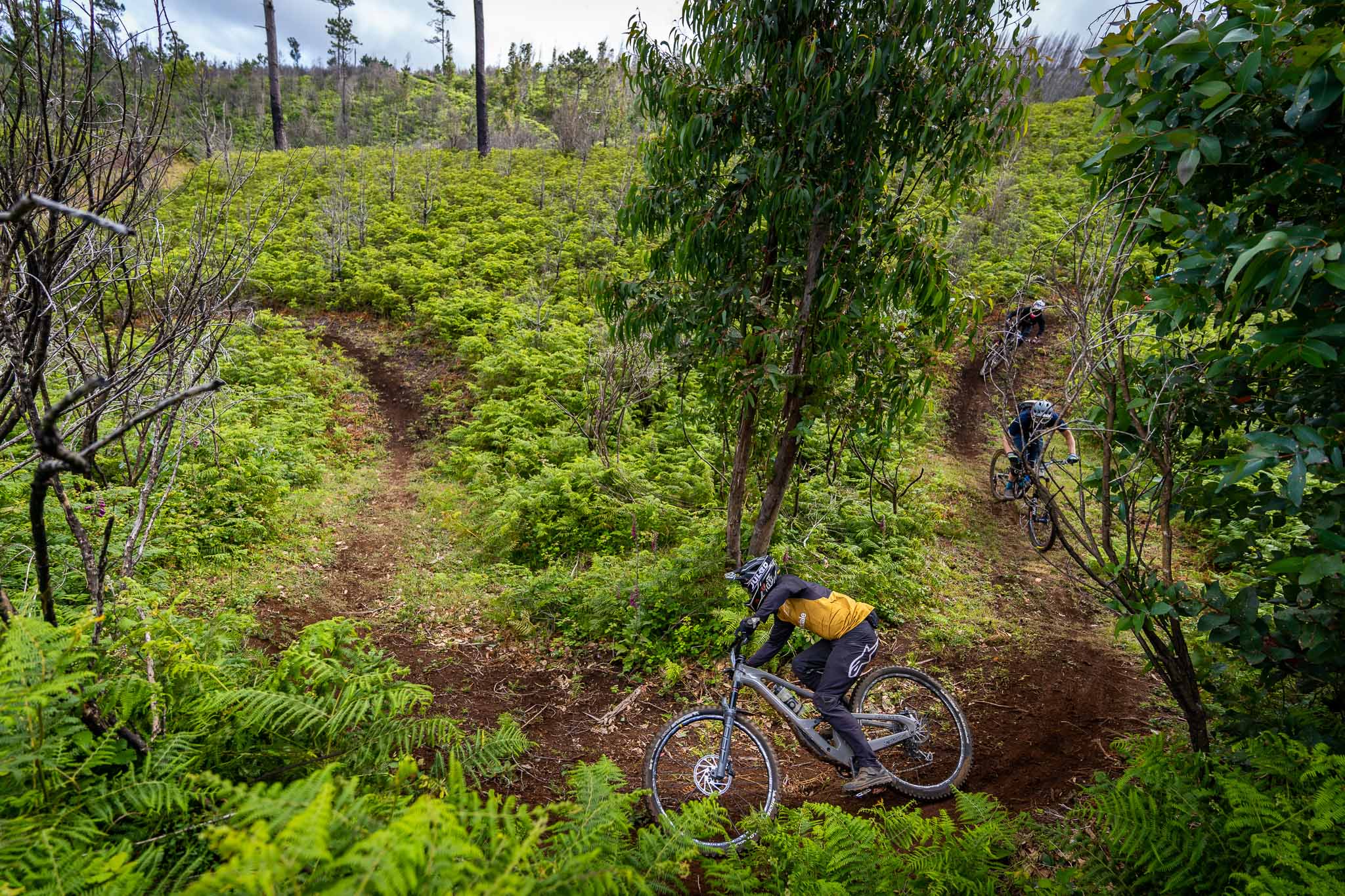 La TransMadeira 2021 avec Jérôme Clementz