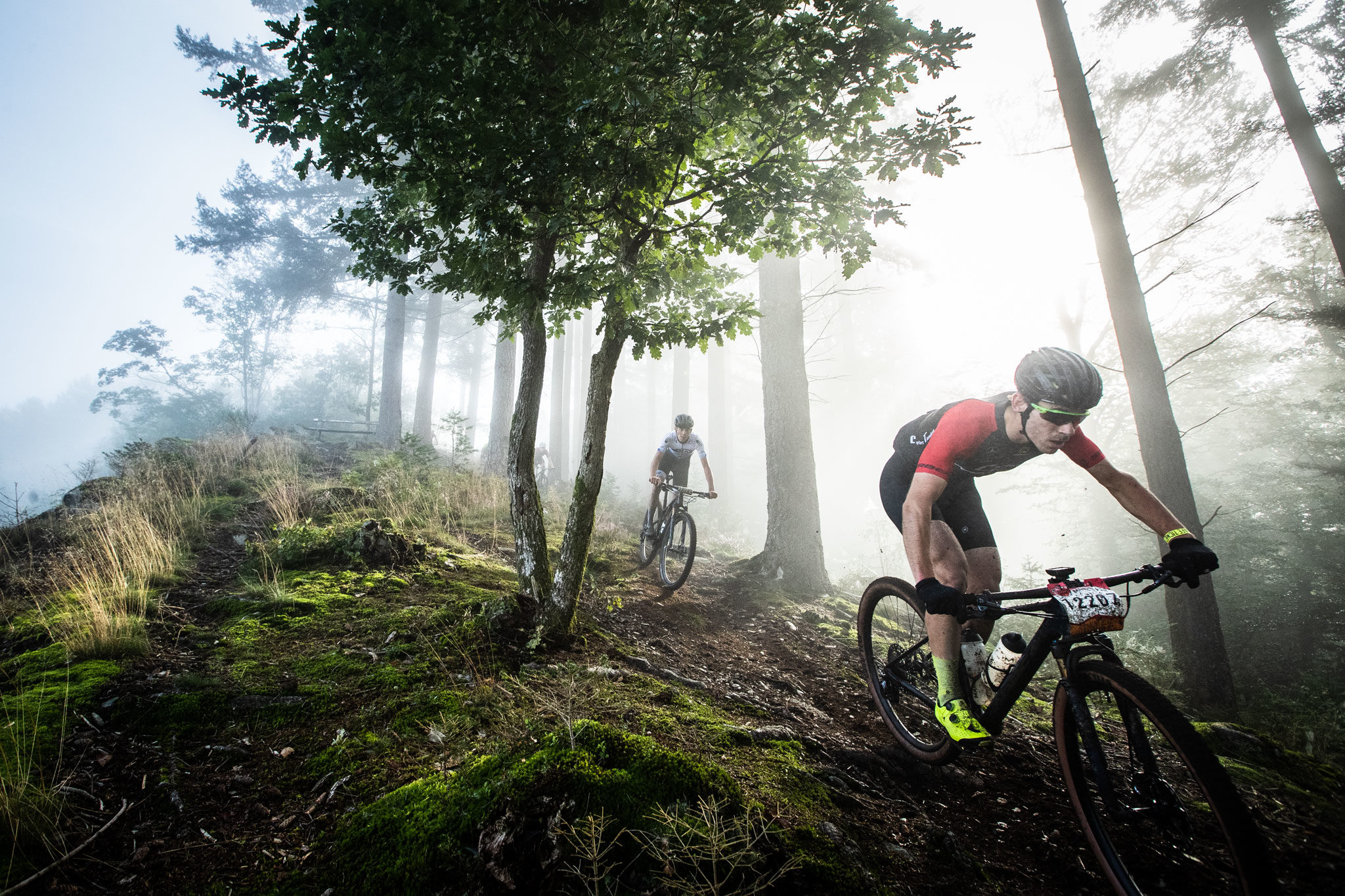 Grand Raid Godefroy 2021 : 120km au fil de la Semois