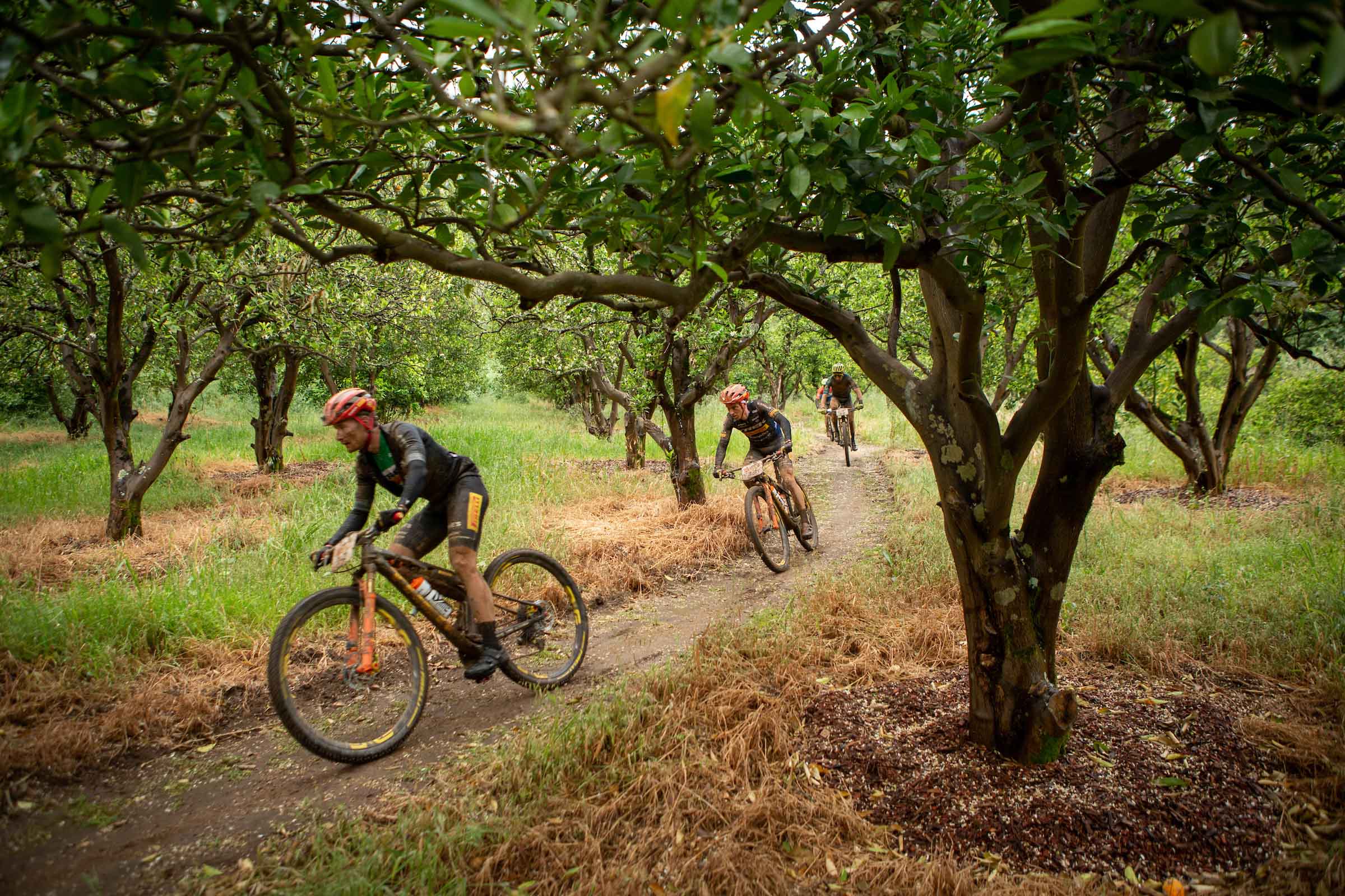 Photo by Nick Muzik/Cape Epic