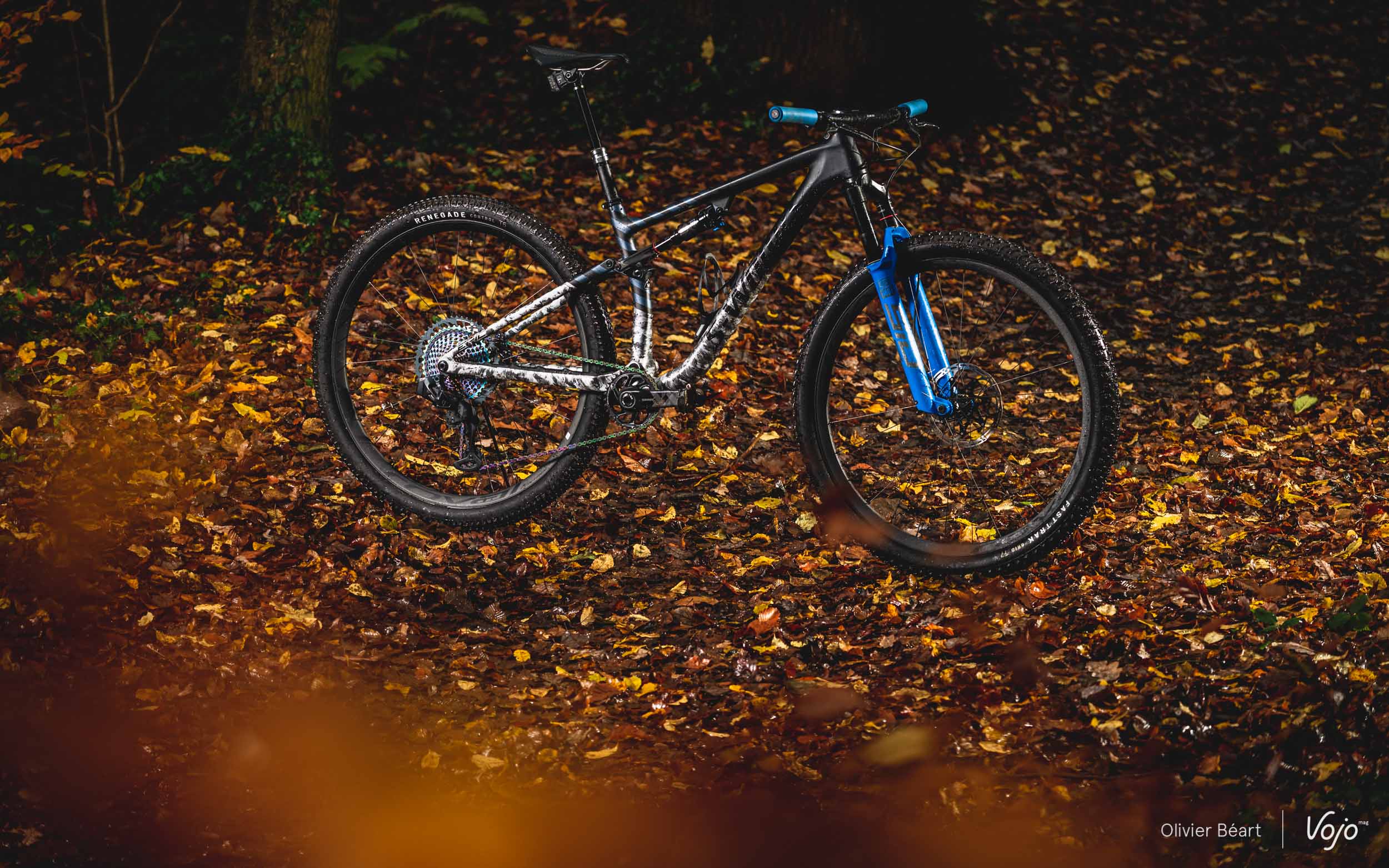 Dream Build | Specialized Epic Evo S-Works : l’heure du bilan