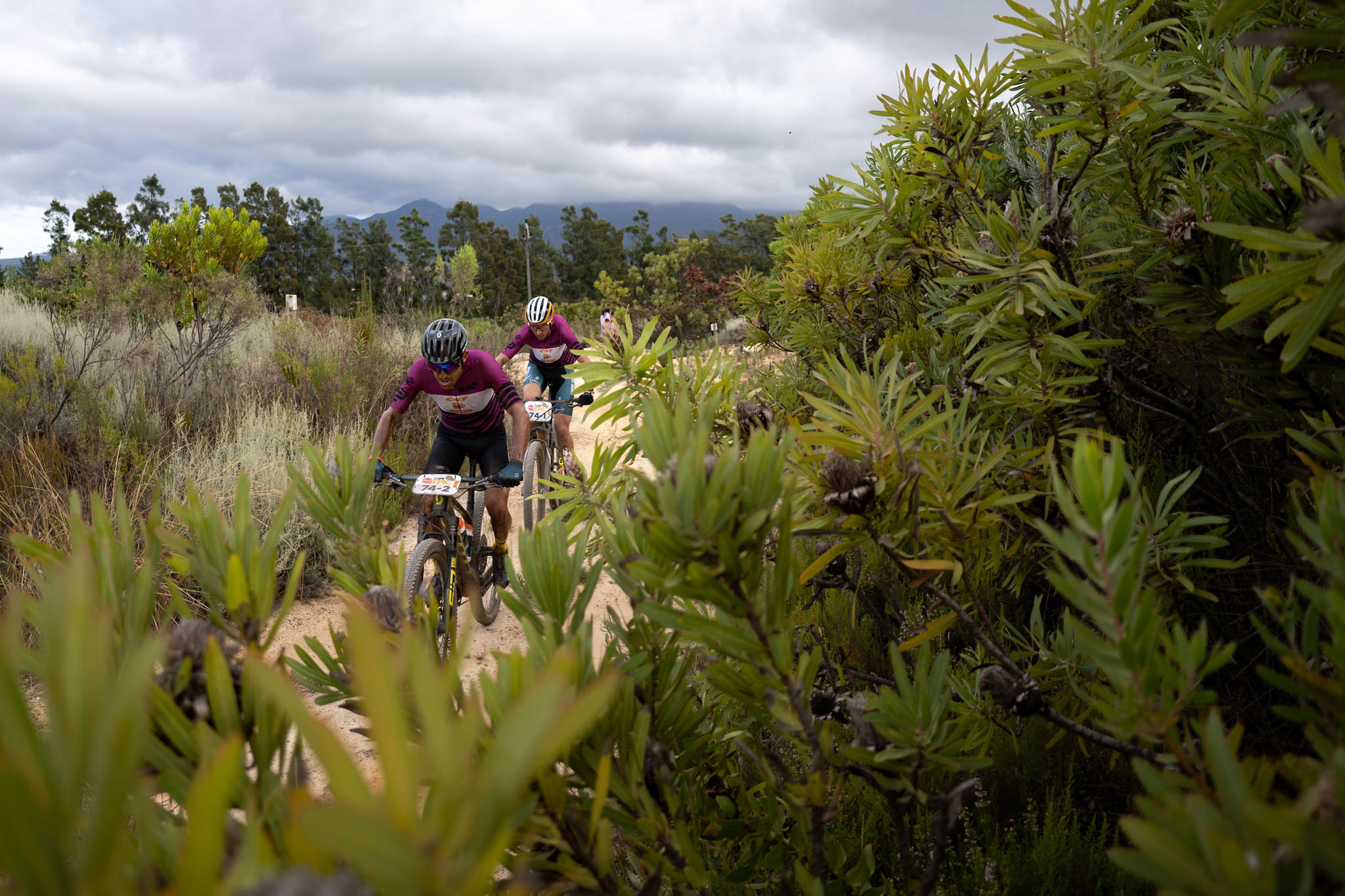 Photo by Simon Pocock/Cape Epic