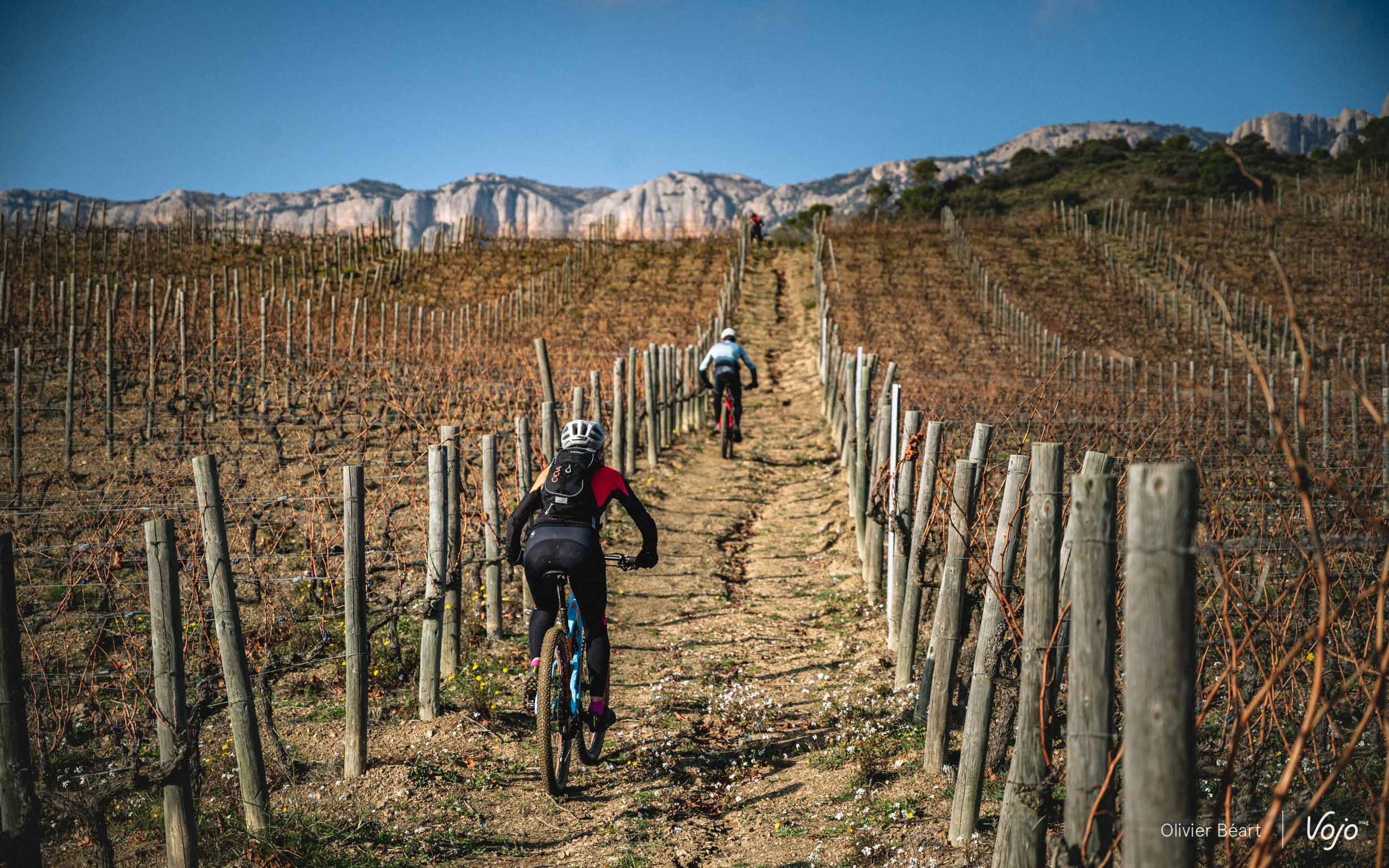 Découverte | Priorat : des crampons dans les vignes