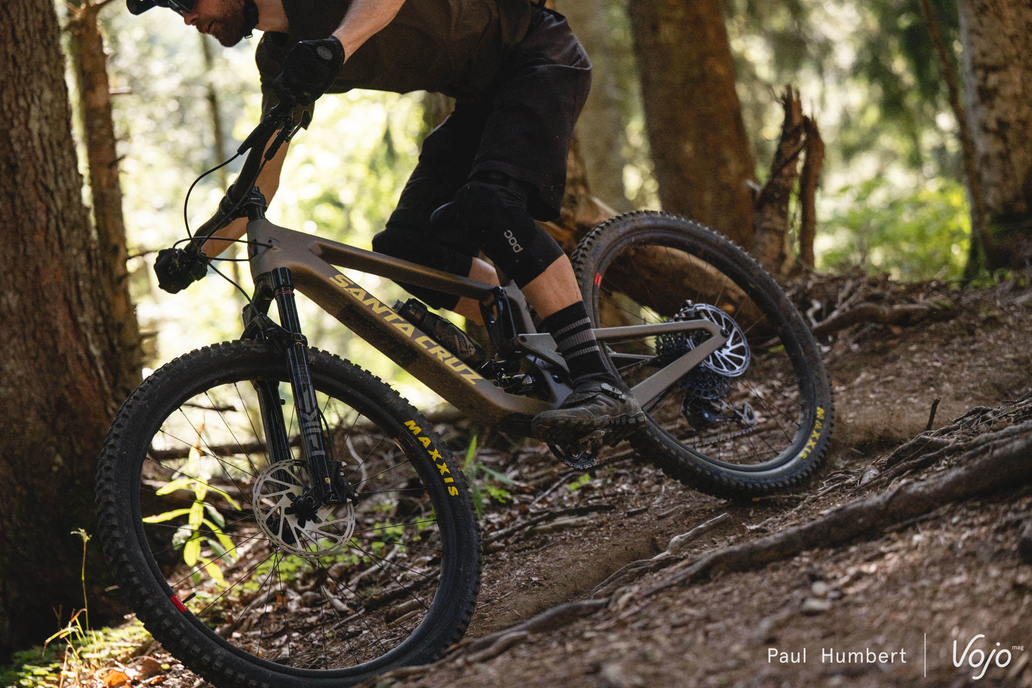 MAXXIS Assegai - Pneu de vélo de montagne (trail, enduro, descente) -  Mathieu