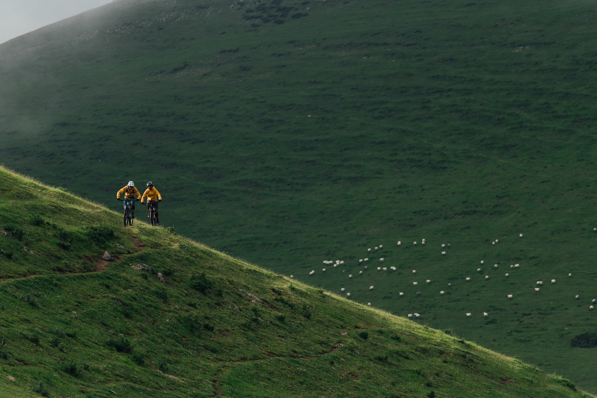 Trail Tales | Episode 7 : Les bergers de la Transhumance