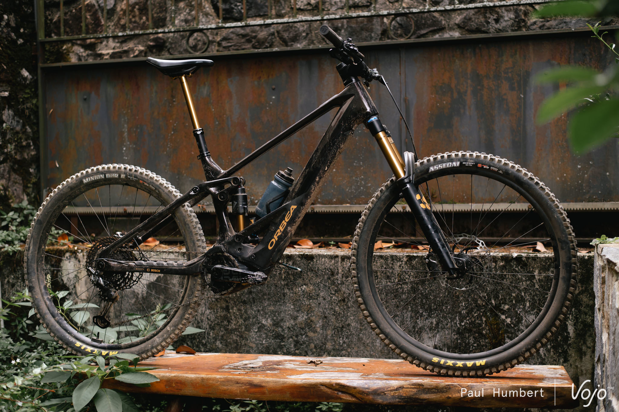 Image d'illustration de l'article : Prise en main | Orbea Wild 2023 : les griffes sont sorties