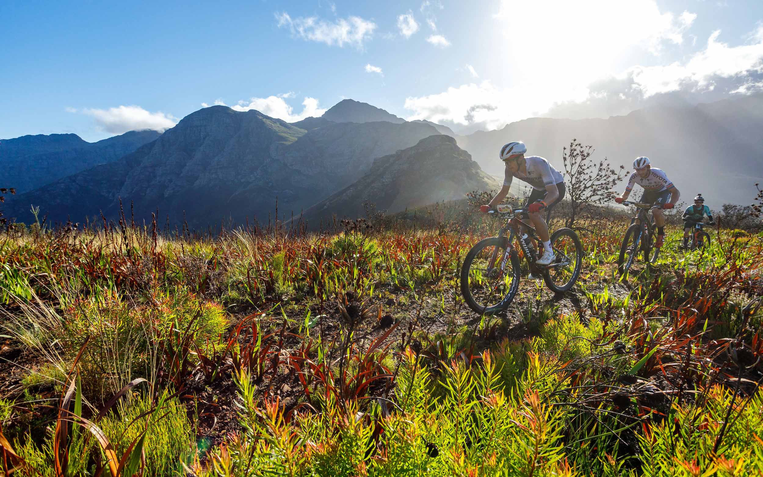 Photo by Nick Muzik/Cape Epic