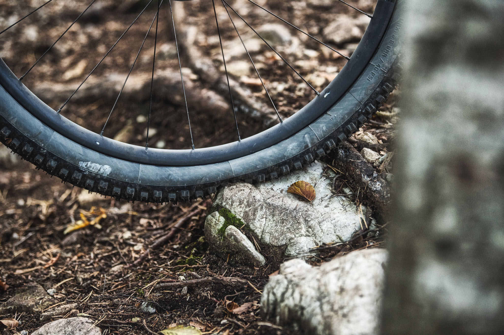 Vittoria lance la bande anti-crevaison Air-Liner Gravel - Le Cycle.fr