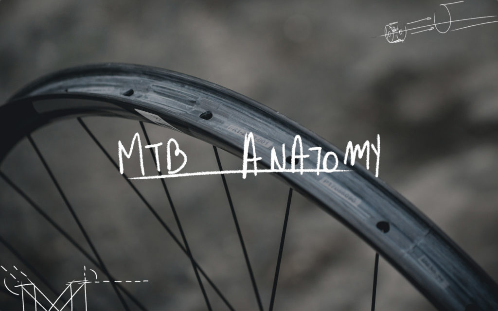 MTB Anatomy #6 : les secrets d'une roue