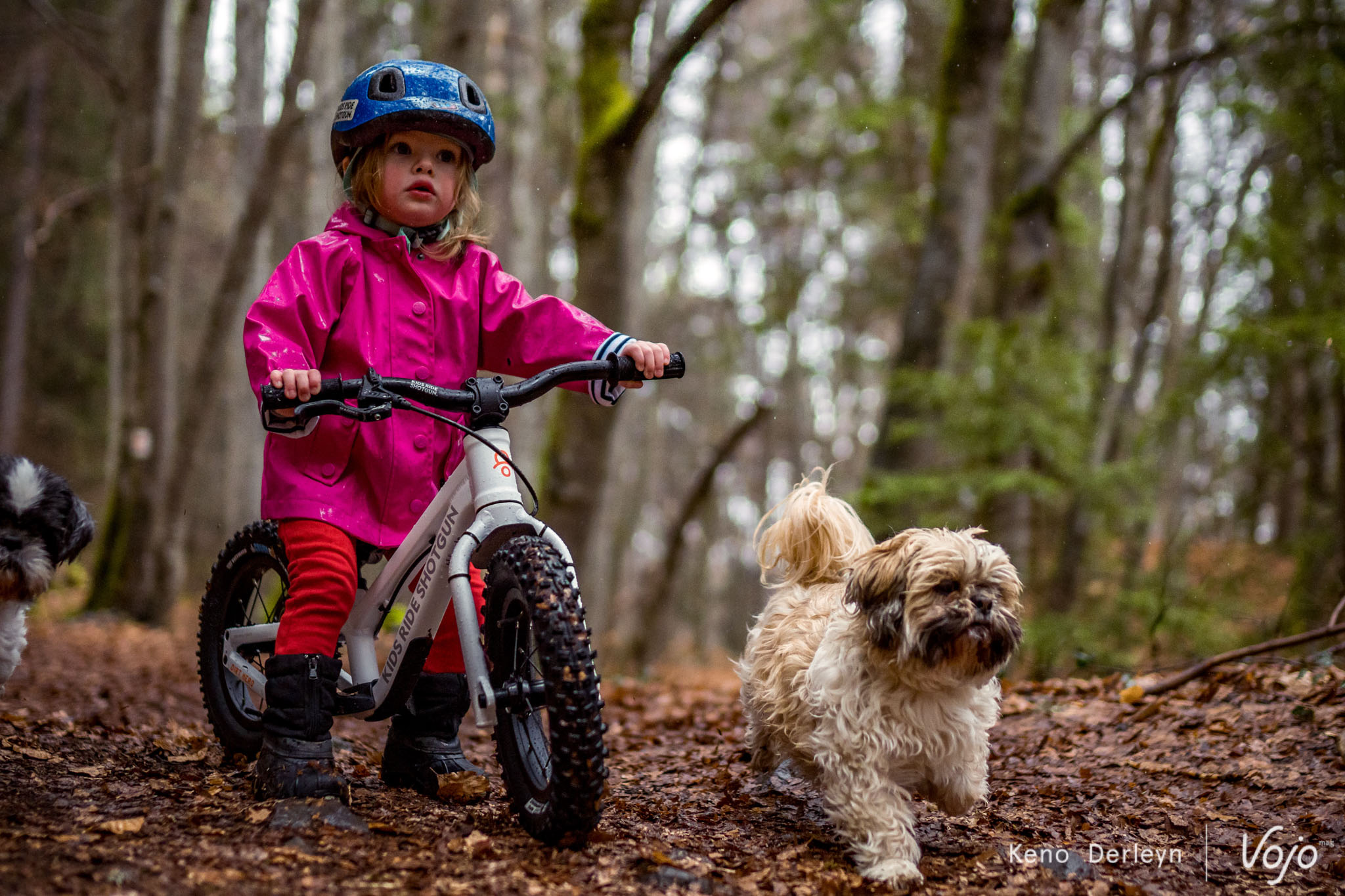 Test nouveauté  Draisienne Kids Ride Shotgun ⋆ Vojo