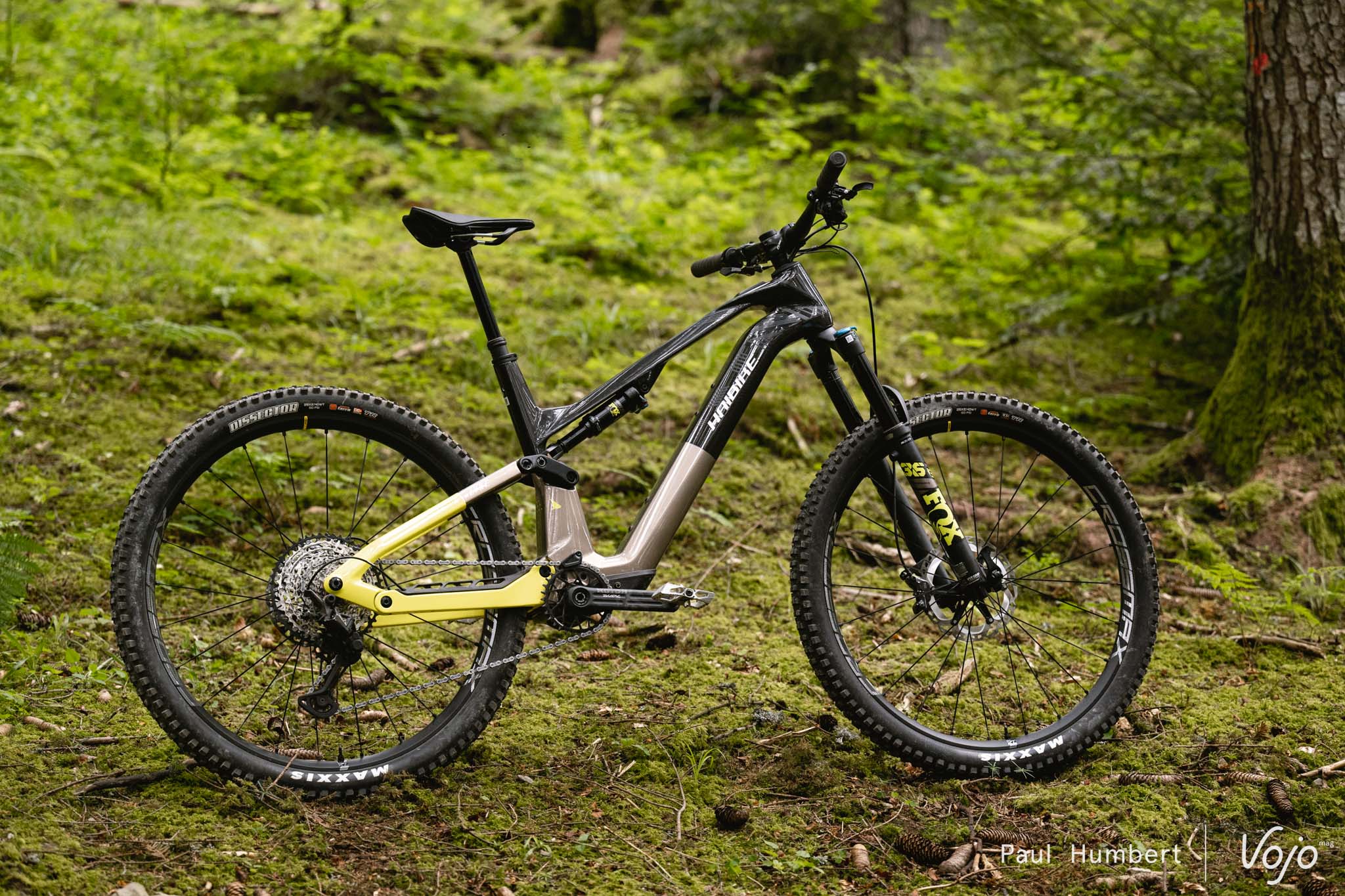 Test | Haibike Lyke 11 : plus facile que jamais