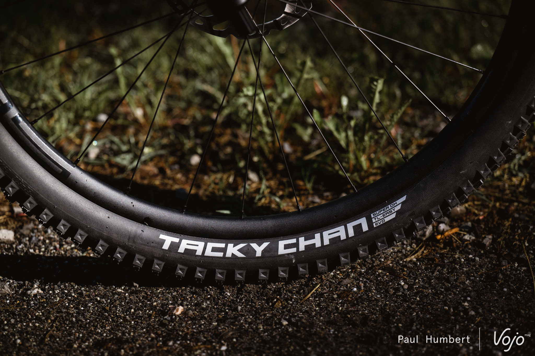 Test nouveauté | Schwalbe Tacky Chan : le chaînon manquant