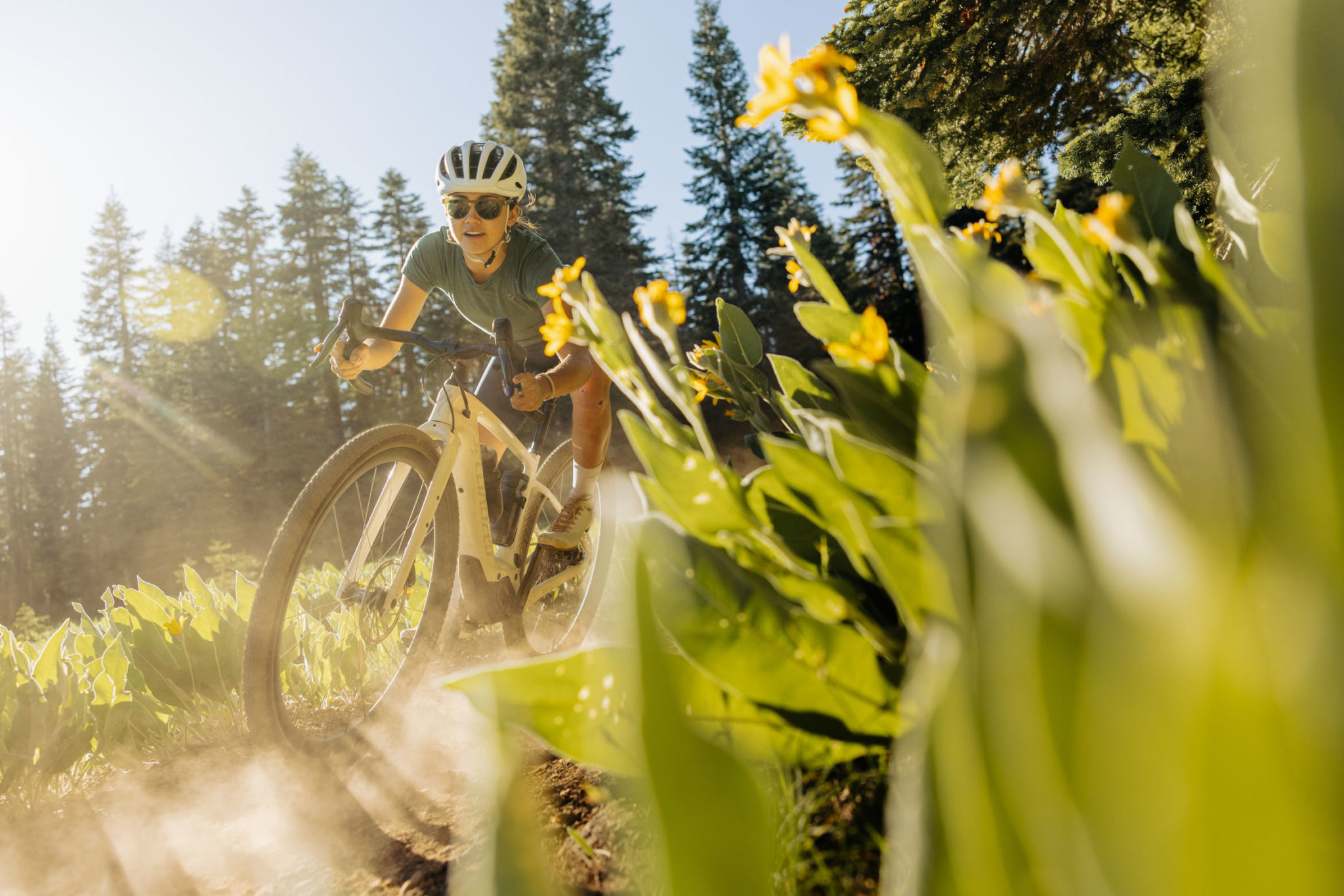 Nouveauté 2023 | Nouvelle motorisation pour la seconde génération de Specialized Creo