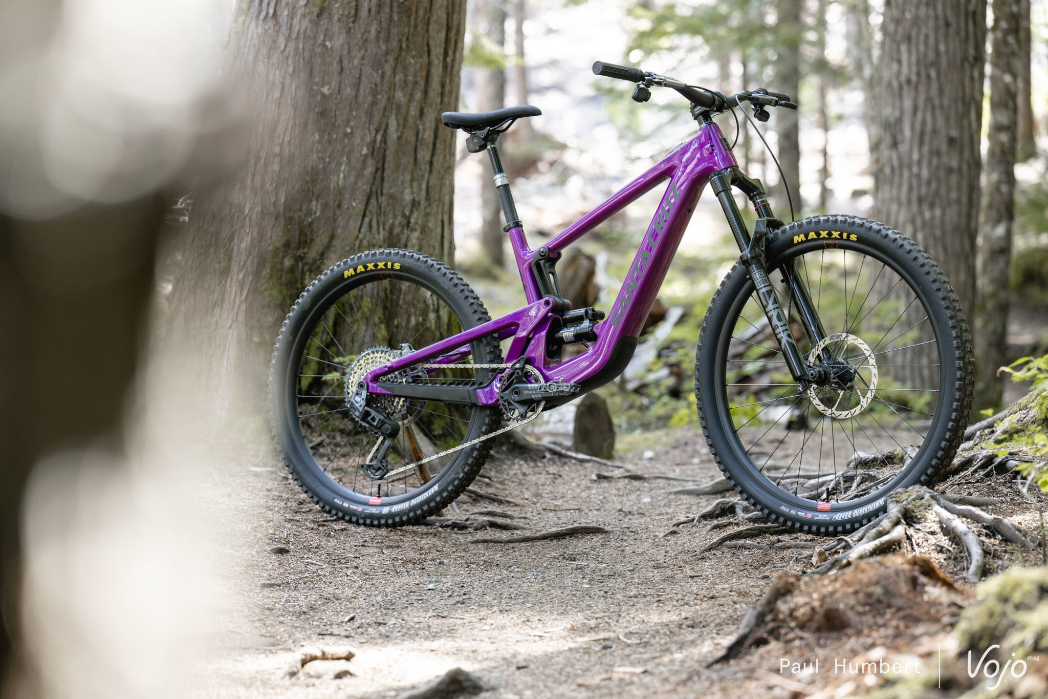 https://www.vojomag.com/app/uploads/2024/07/santa cruz bullit shimano ep 801 2024 vojo paul humbert 12.jpg