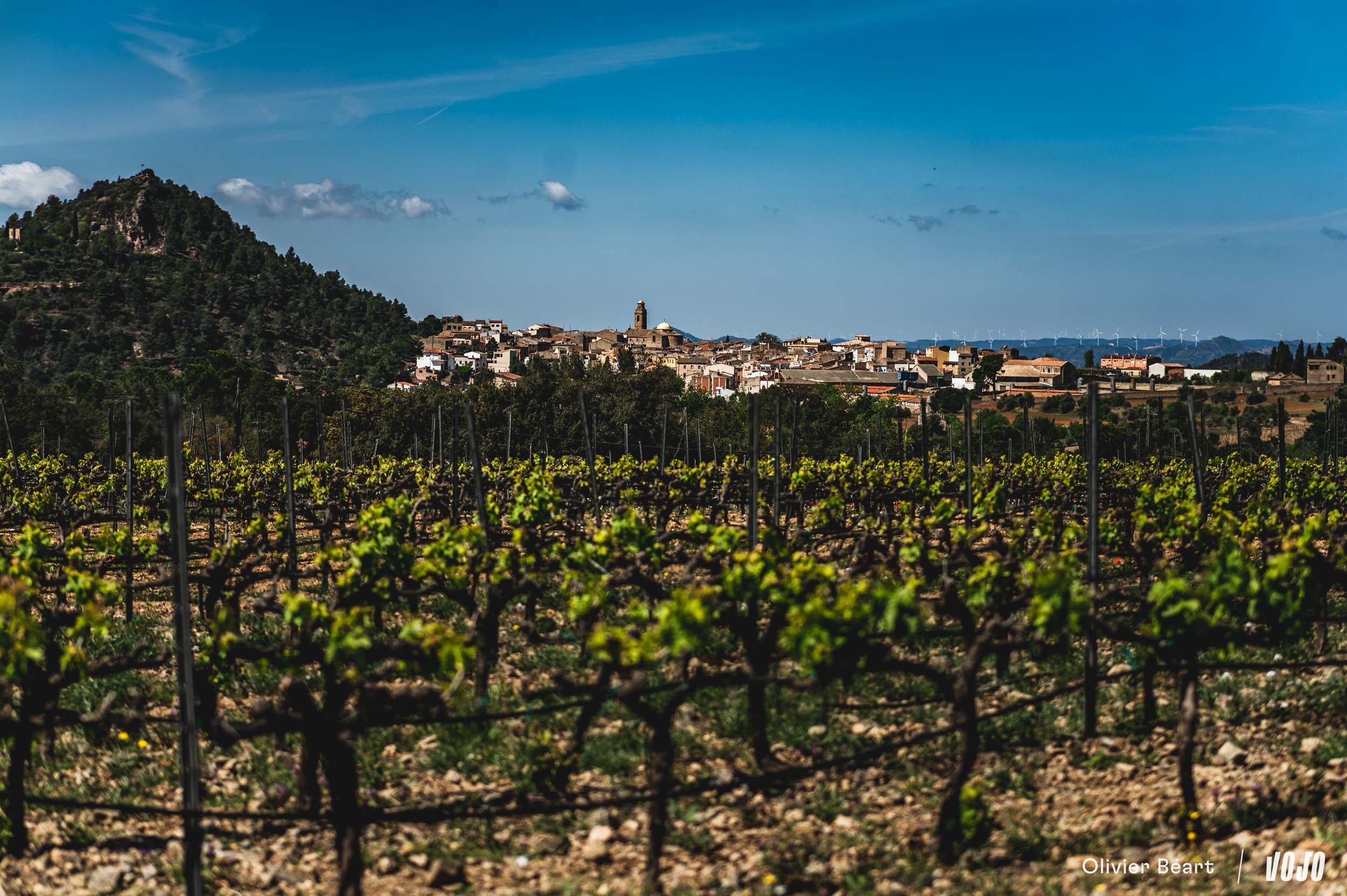 https://www.vojomag.com/app/uploads/2023/10/Gravel Priorat Cambrils Tarragone copyright Beart Vojomag 49.jpg