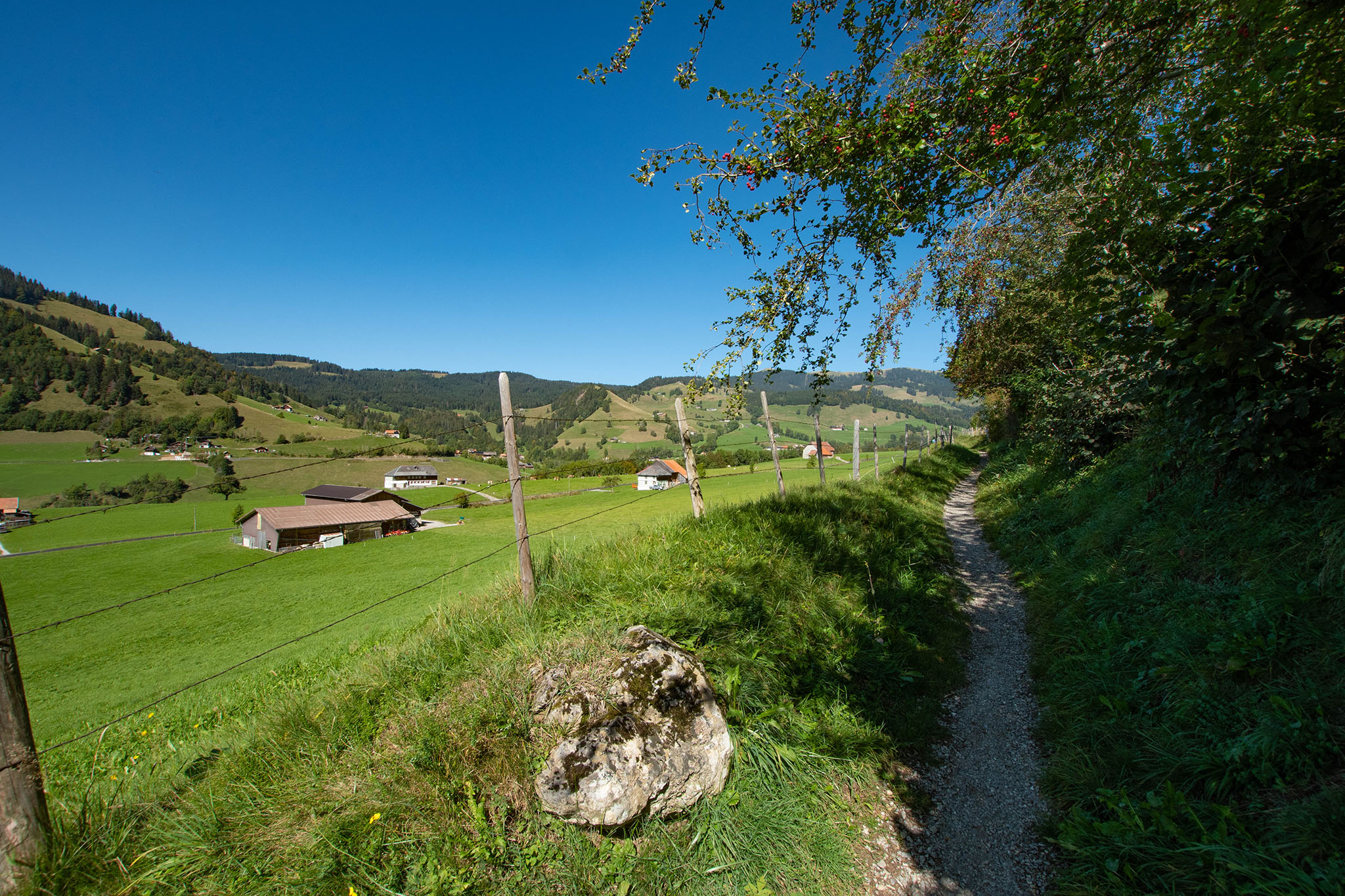 https://www.vojomag.com/app/uploads/2023/12/Canton de Fribourg. Gruyere VTT 14.jpg