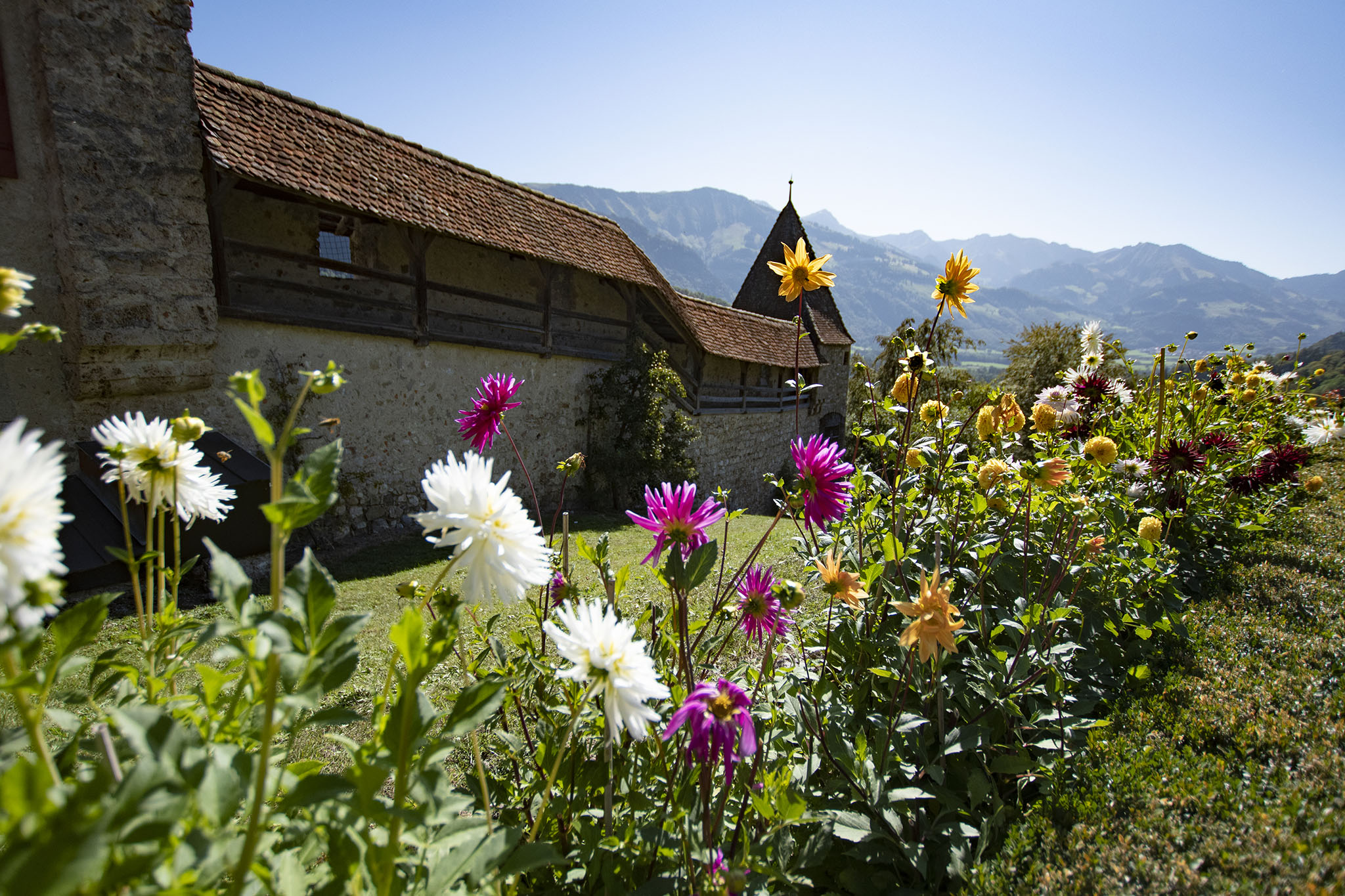 https://www.vojomag.com/app/uploads/2023/12/Canton de Fribourg. Gruyere VTT 36.jpg