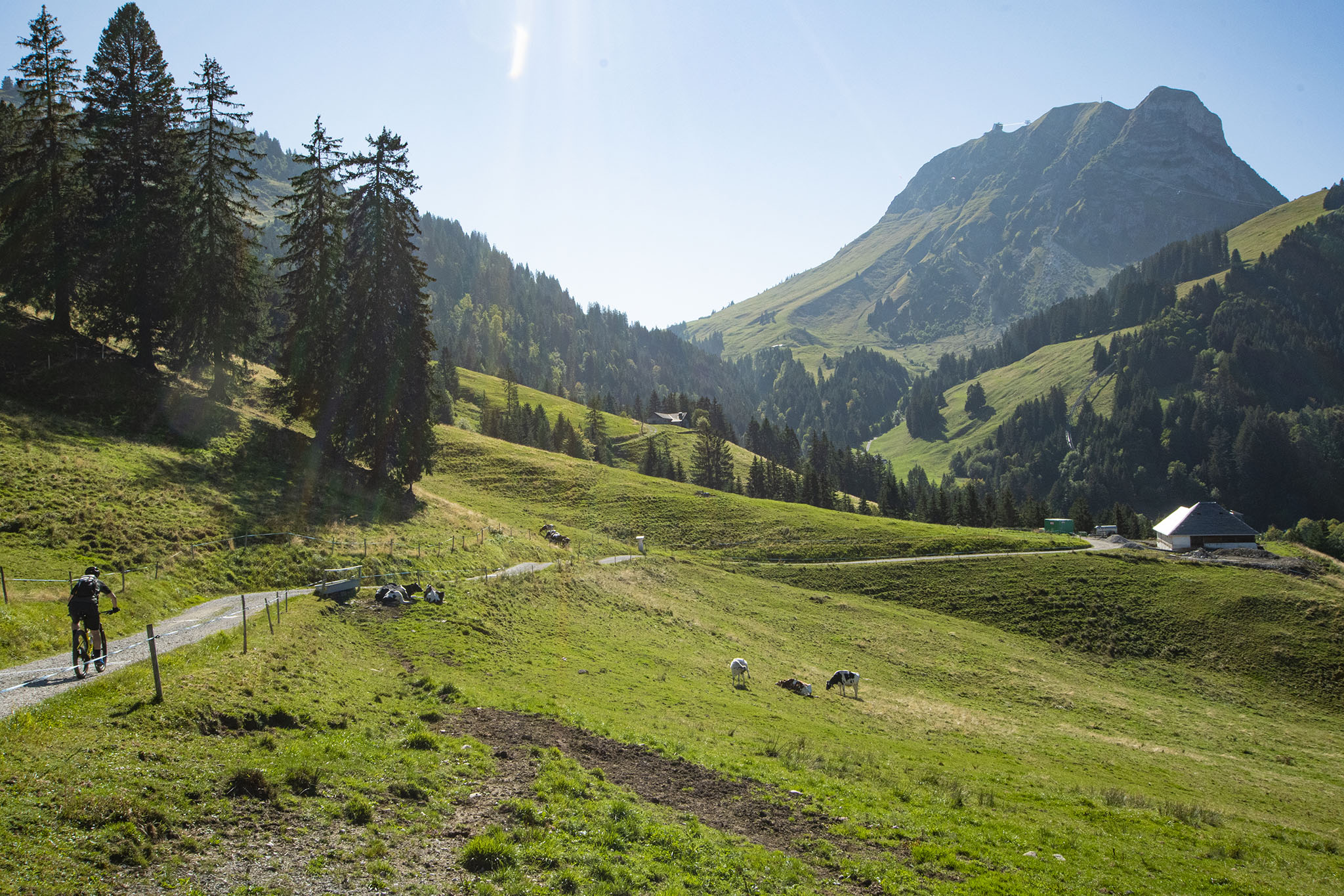 https://www.vojomag.com/app/uploads/2023/12/Canton de Fribourg. Gruyere VTT 45.jpg