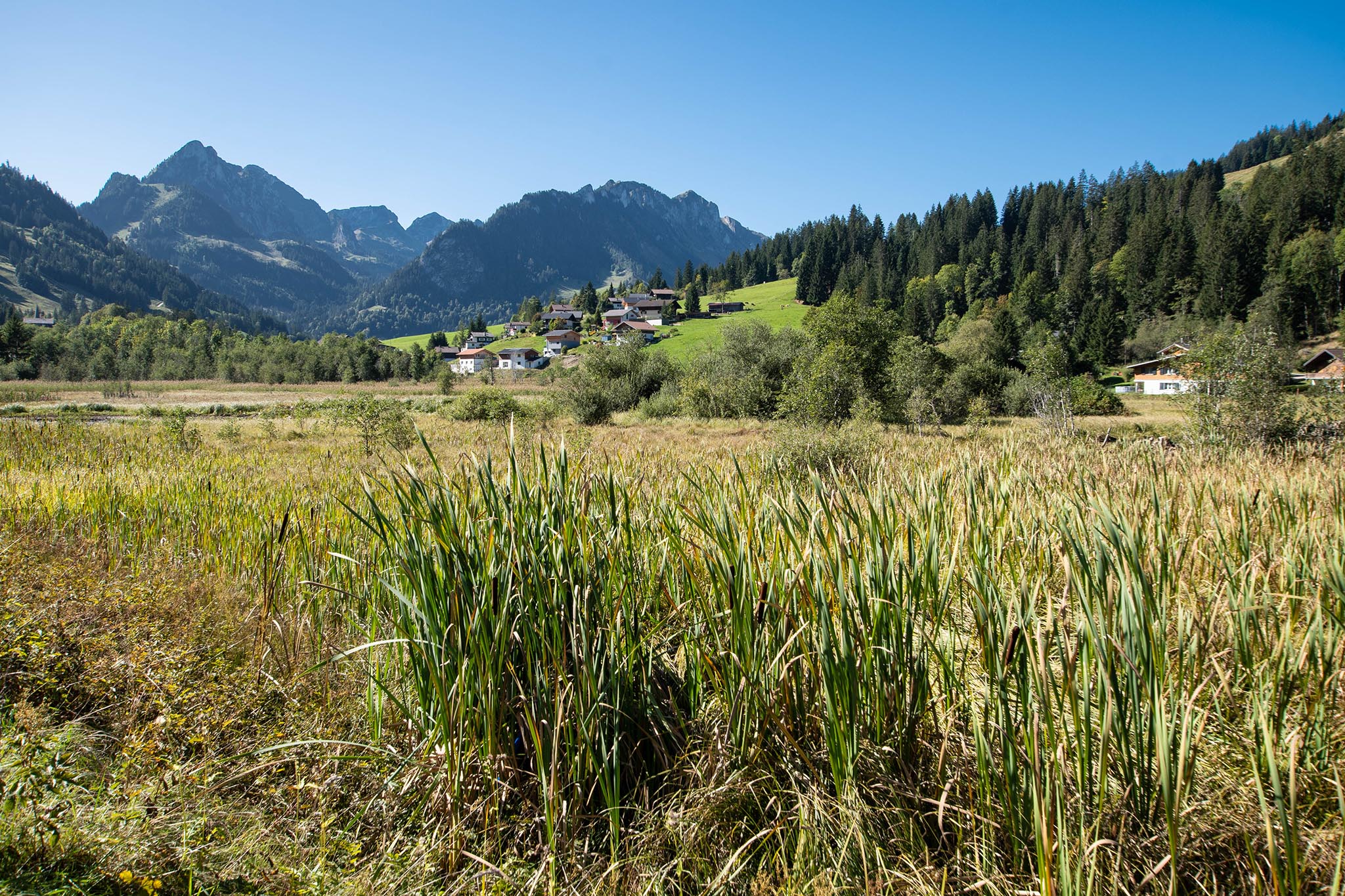 https://www.vojomag.com/app/uploads/2023/12/Canton de Fribourg. Gruyere VTT 4.jpg