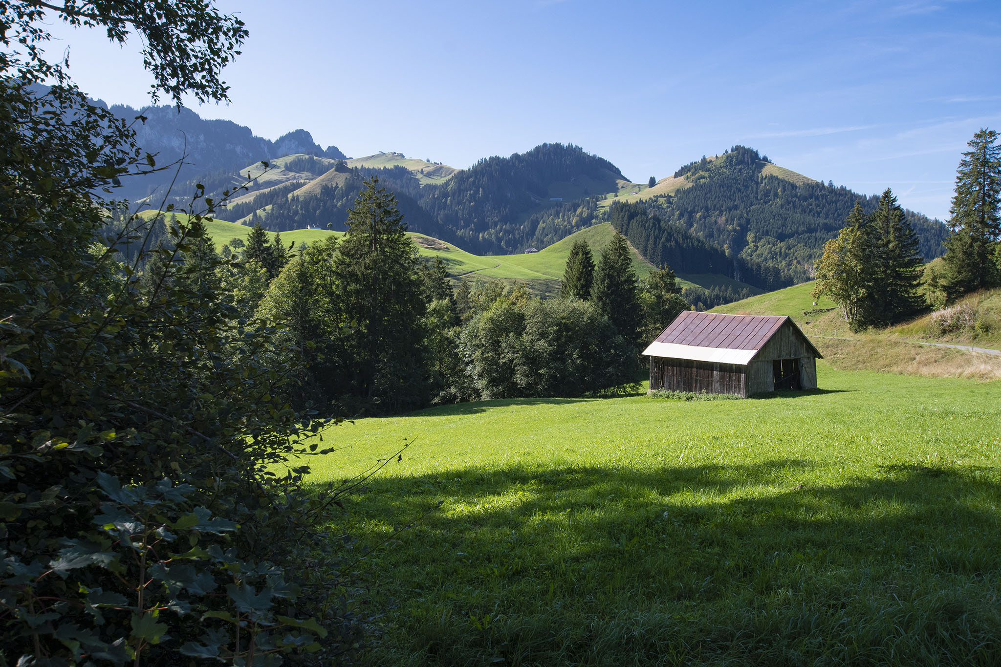 https://www.vojomag.com/app/uploads/2023/12/Canton de Fribourg. Gruyere VTT 40.jpg