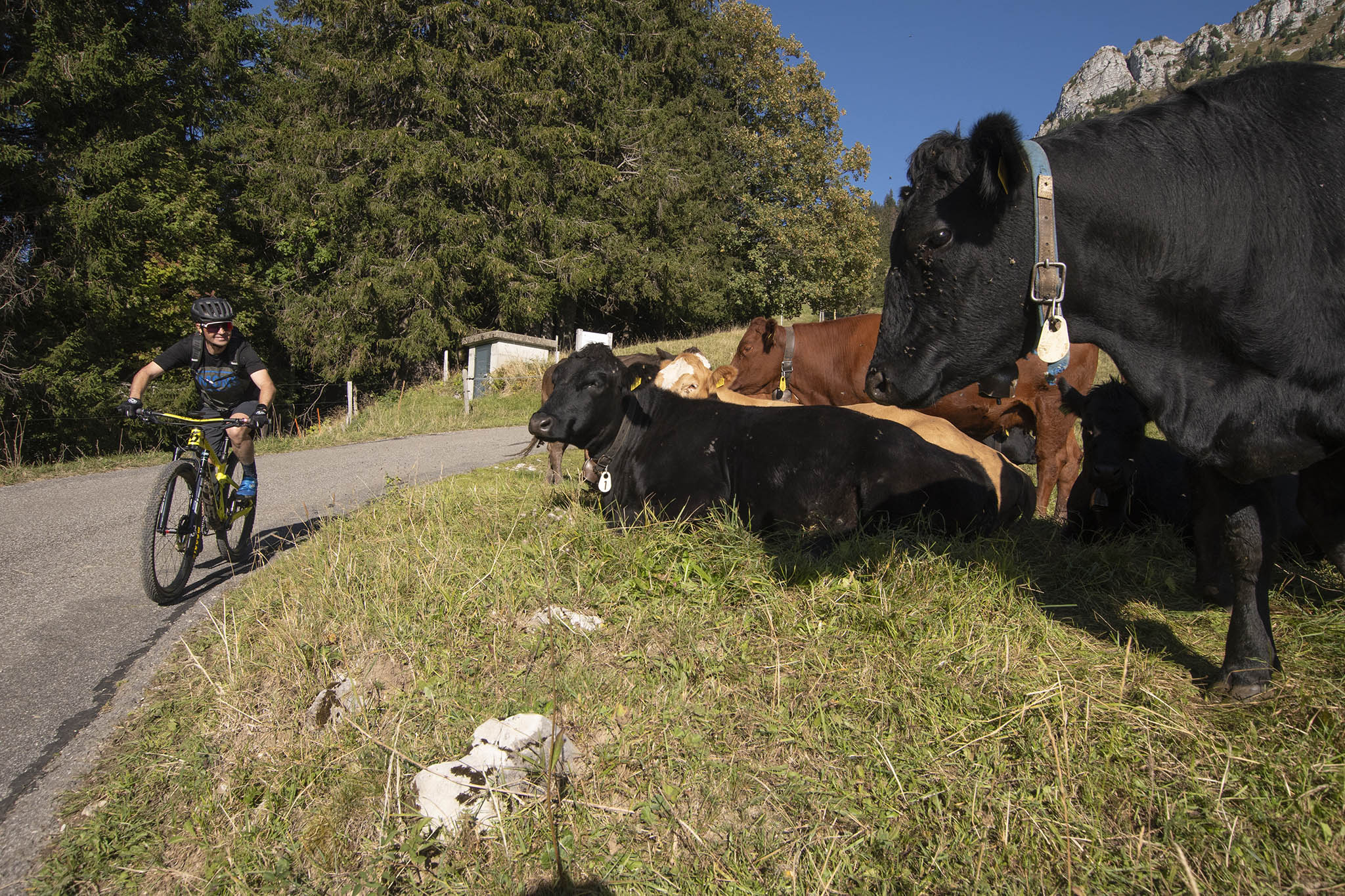 https://www.vojomag.com/app/uploads/2023/12/Canton de Fribourg. Gruyere VTT 23.jpg