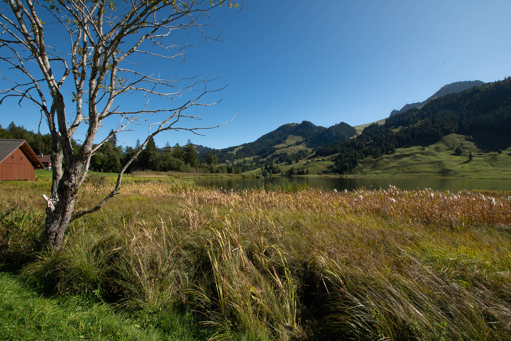 https://www.vojomag.com/app/uploads/2023/12/Canton de Fribourg. Gruyere VTT 4.jpg