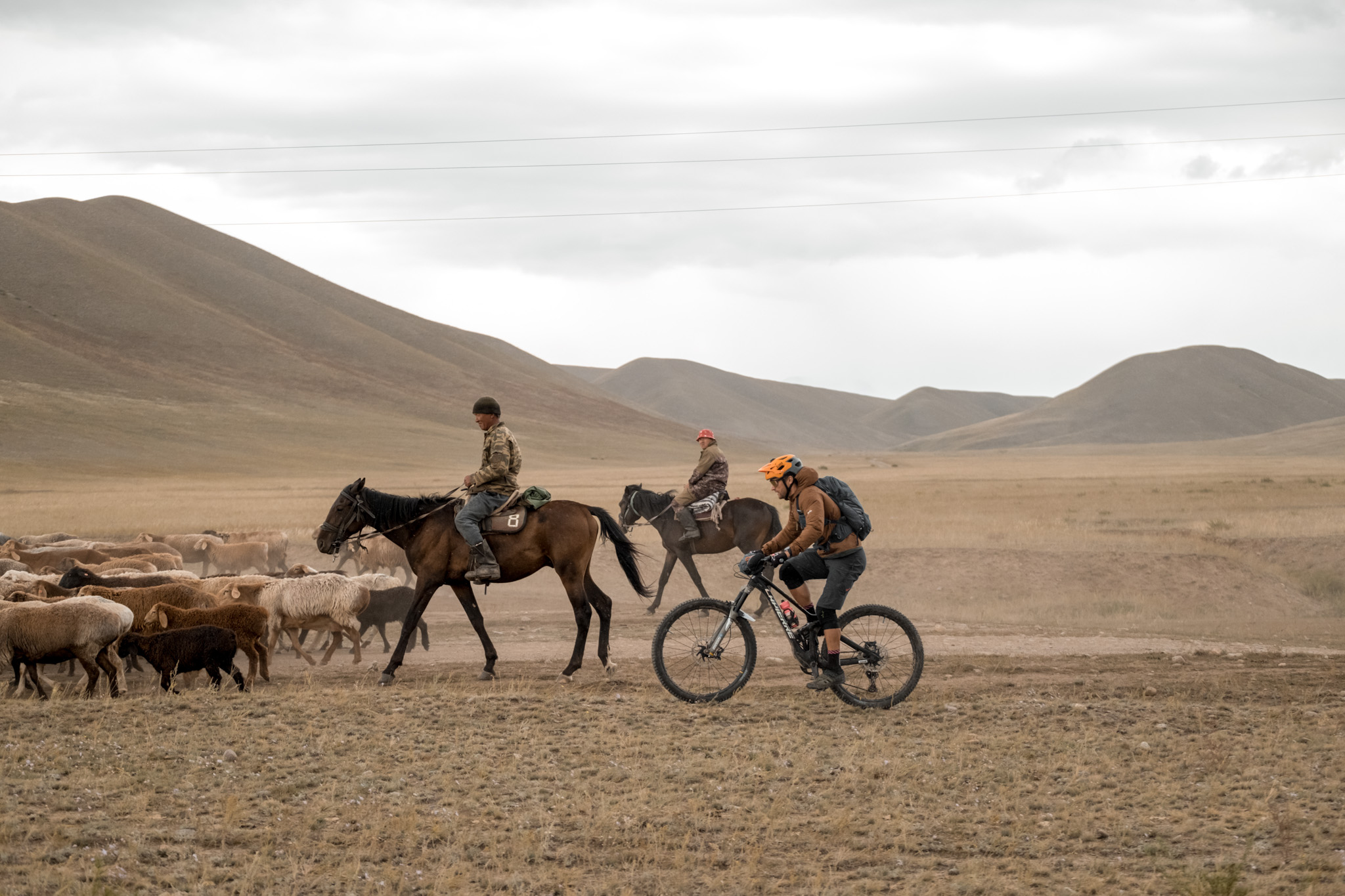 Kanymda Kumis | L’aventure au Kirghizistan avec Fred Horny