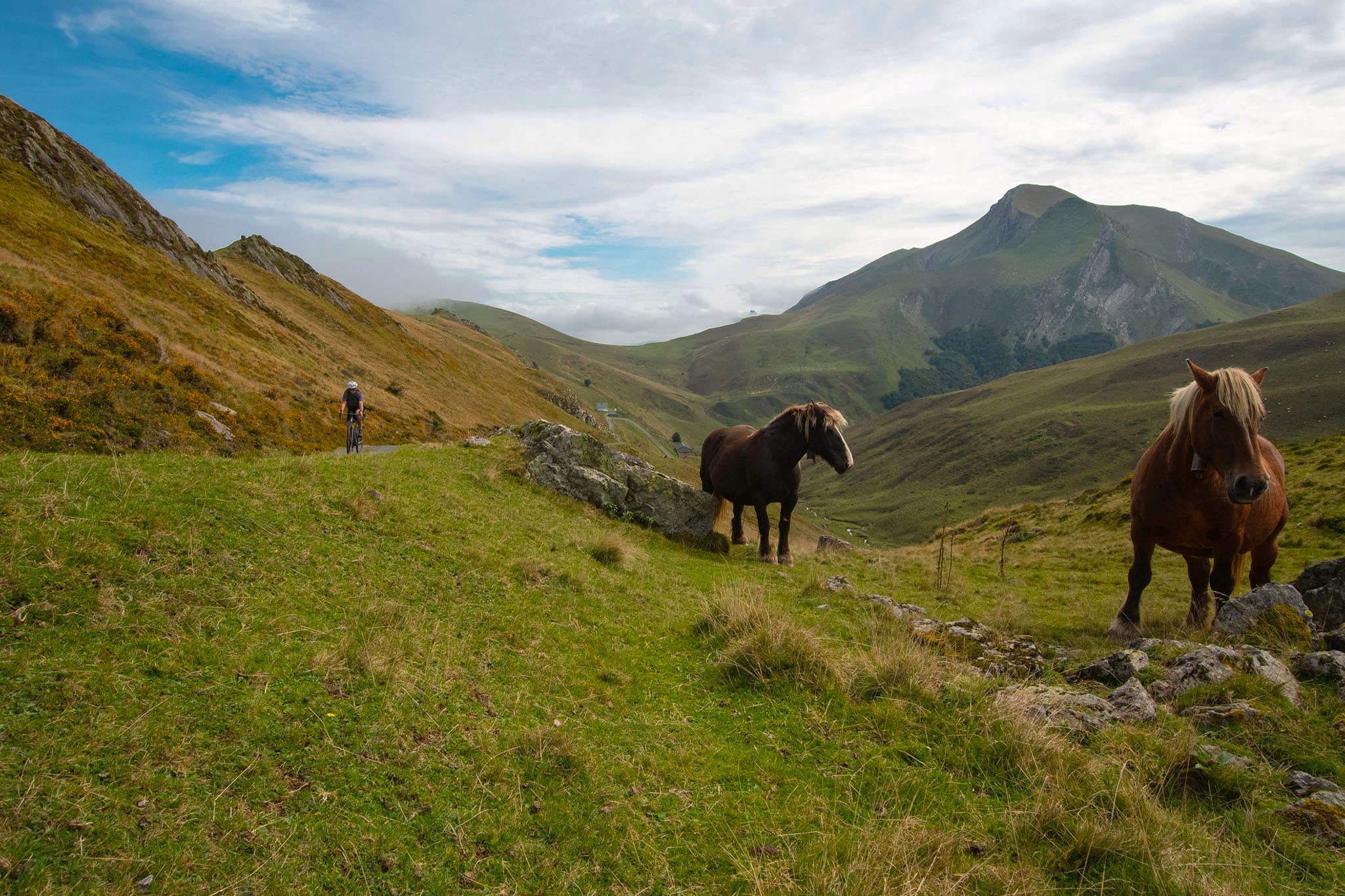 https://www.vojomag.com/app/uploads/2024/02/Gravel Pays basque Irati chevaux 1.jpg