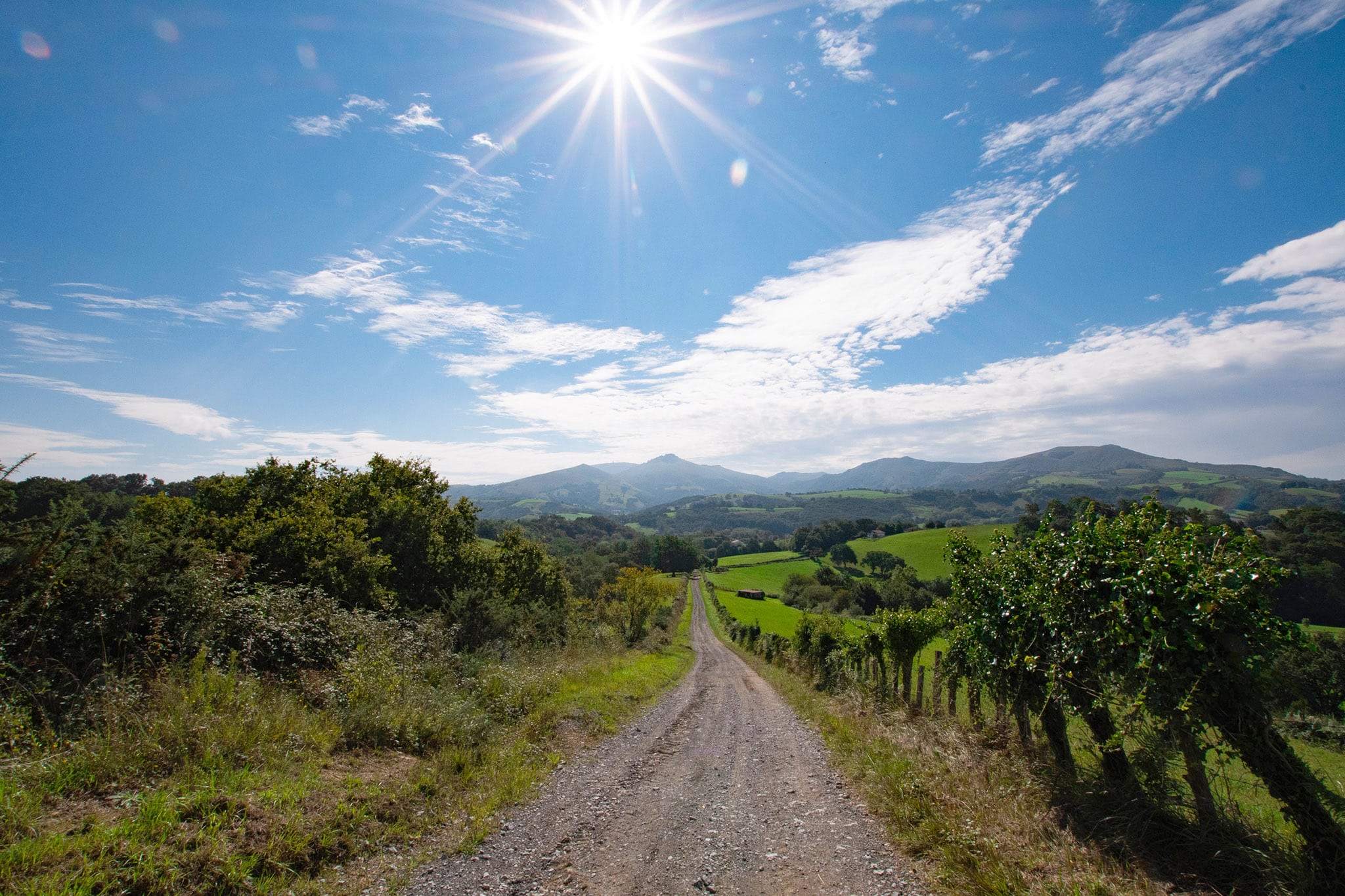 https://www.vojomag.com/app/uploads/2024/02/Gravel Pays basque Rhune.jpg