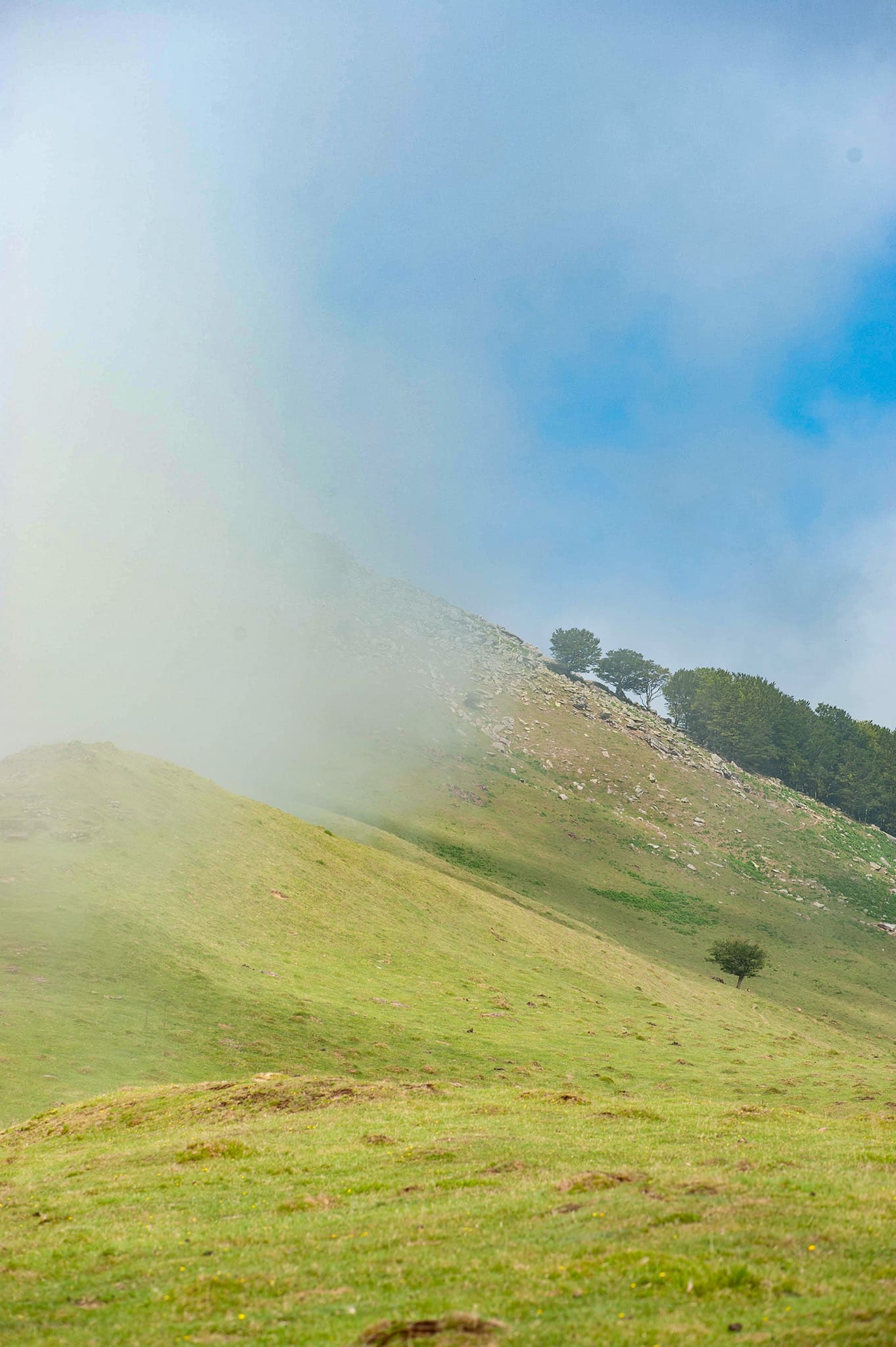 https://www.vojomag.com/app/uploads/2024/02/Gravel Pays basque Irati chevaux 1.jpg