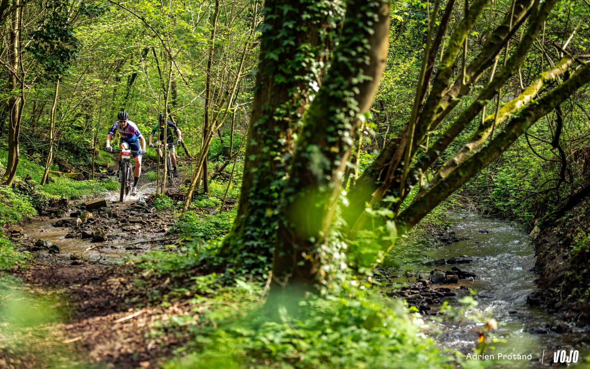 https://www.vojomag.com/app/uploads/2024/04/Belgium Bike Festival 2024 Vojo A.Protano 901 26 2048x1280.jpg