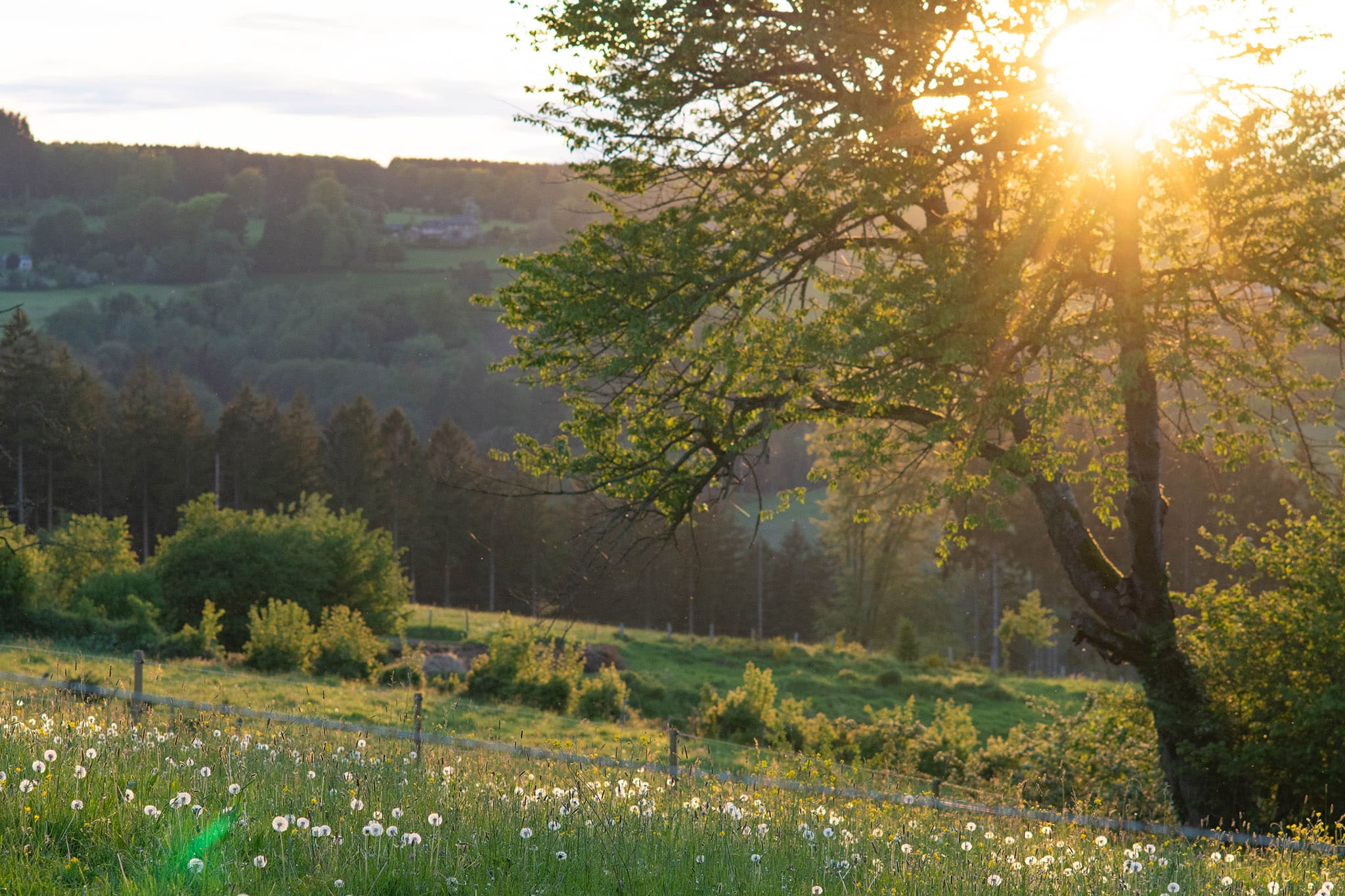 https://www.vojomag.com/app/uploads/2024/05/Gravel Morvan. 1 BD.jpg
