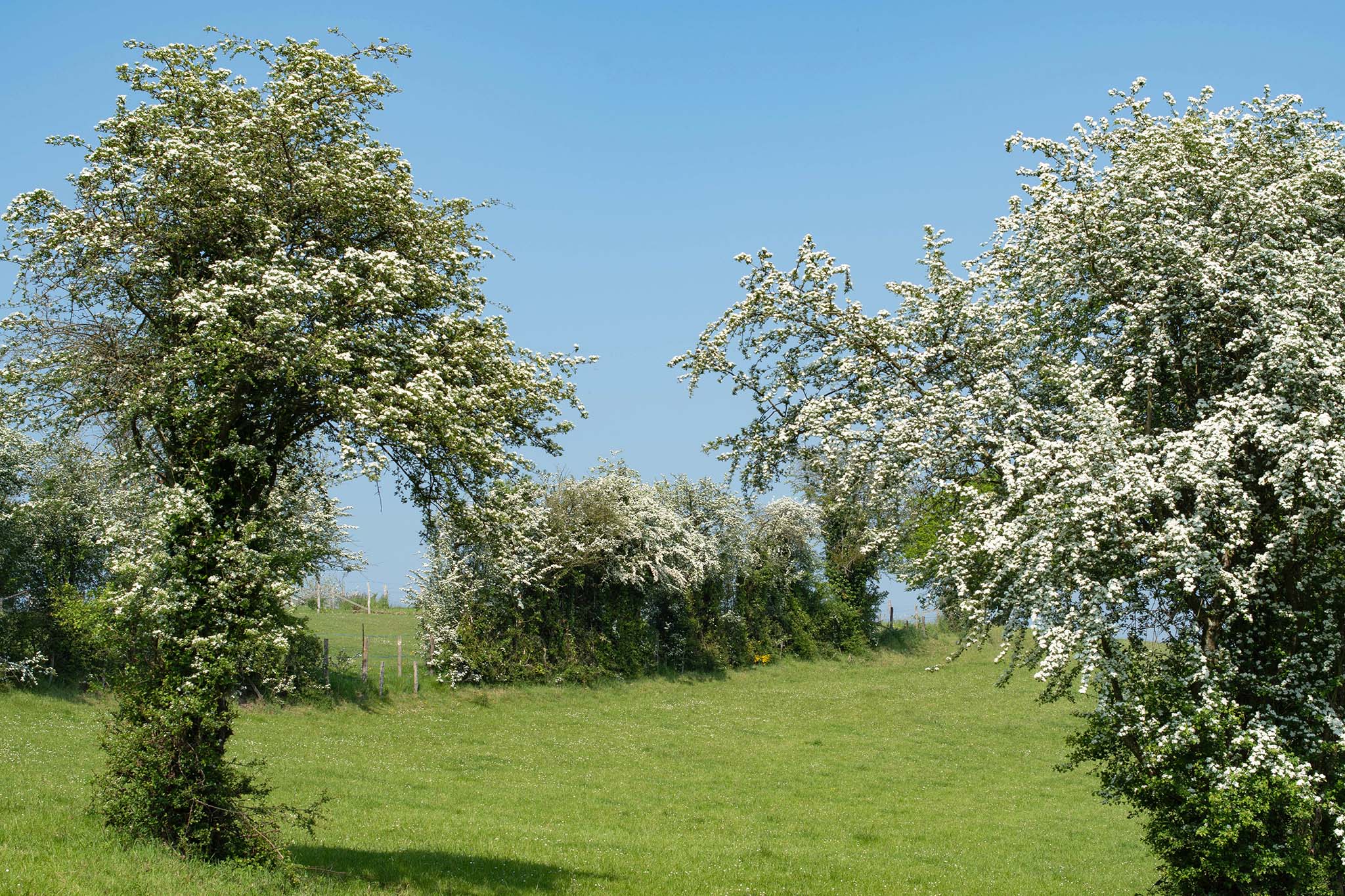 https://www.vojomag.com/app/uploads/2024/05/Gravel Morvan. printemps 1 BD.jpg