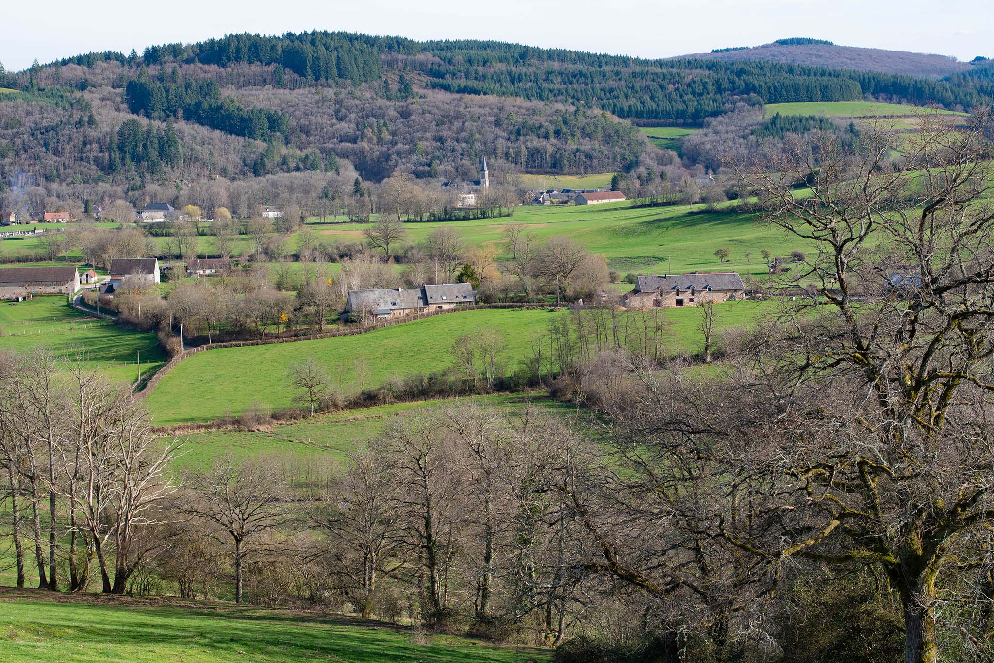 https://www.vojomag.com/app/uploads/2024/05/Gravel Morvan. Paysage BD.jpg