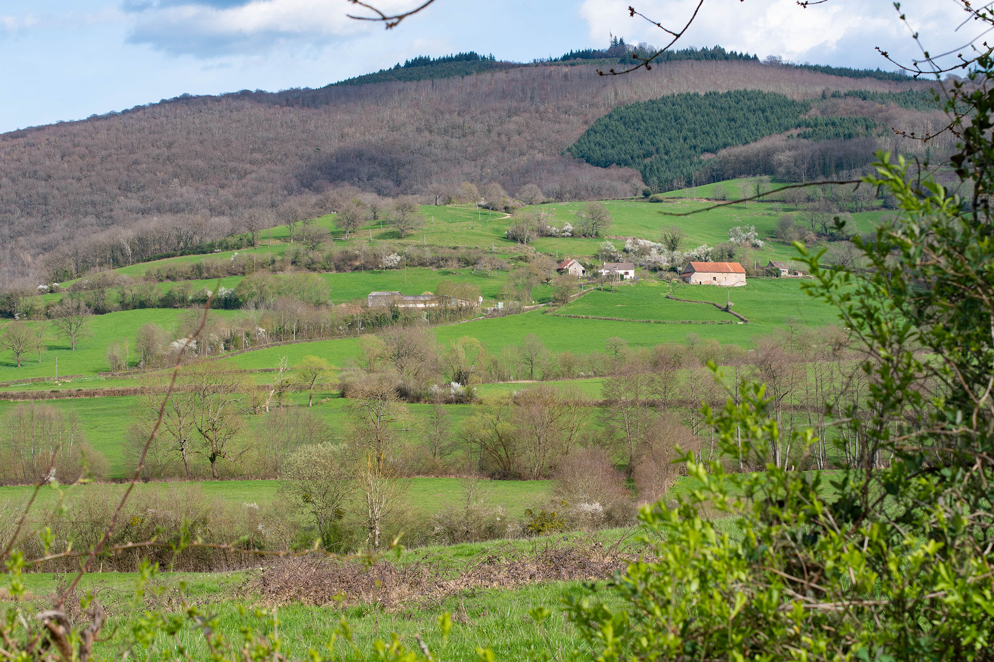 https://www.vojomag.com/app/uploads/2024/05/Gravel Morvan. ruisseau BD.jpg