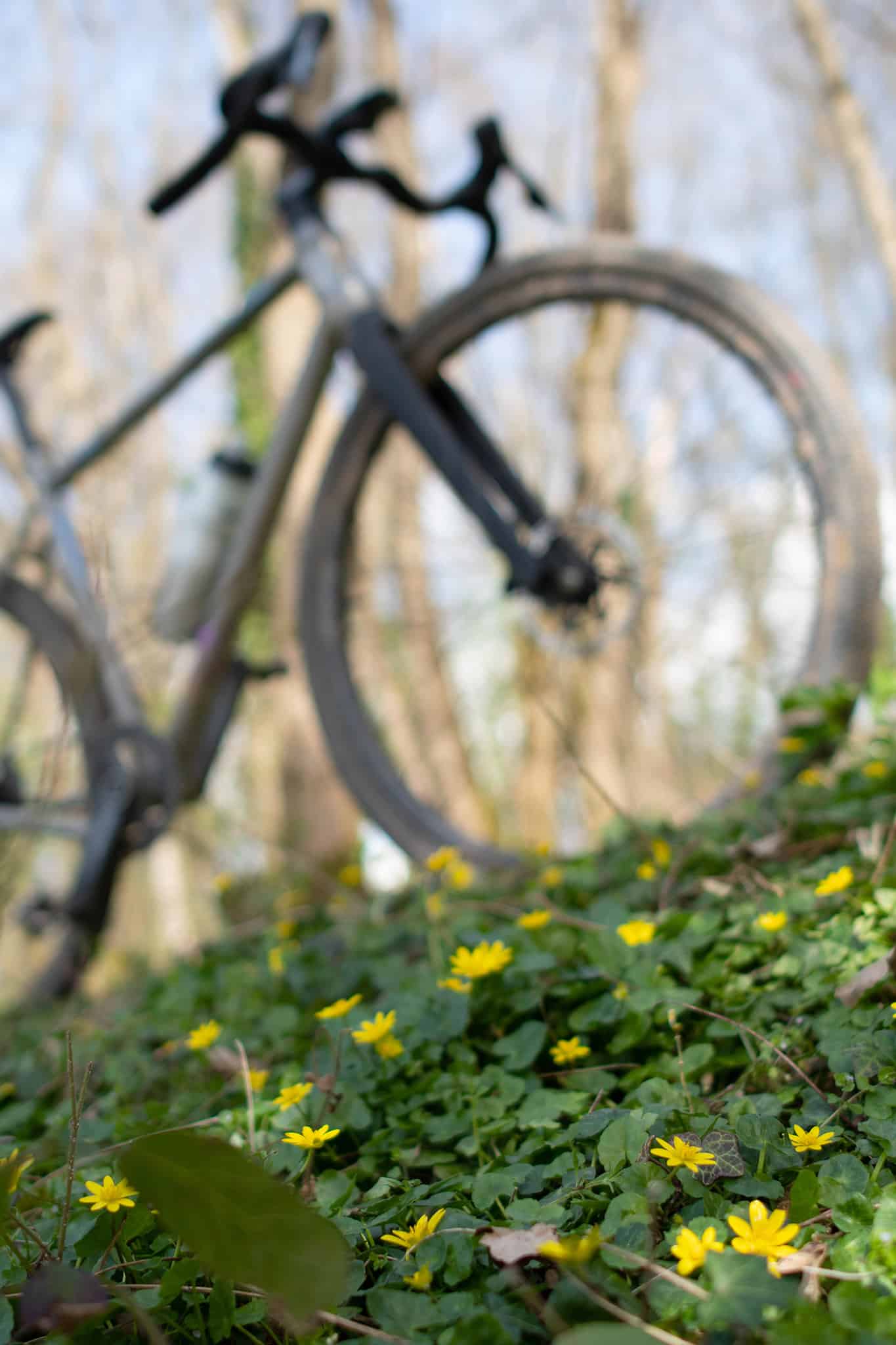https://www.vojomag.com/app/uploads/2024/05/Gravel Morvan. printemps 1 BD.jpg