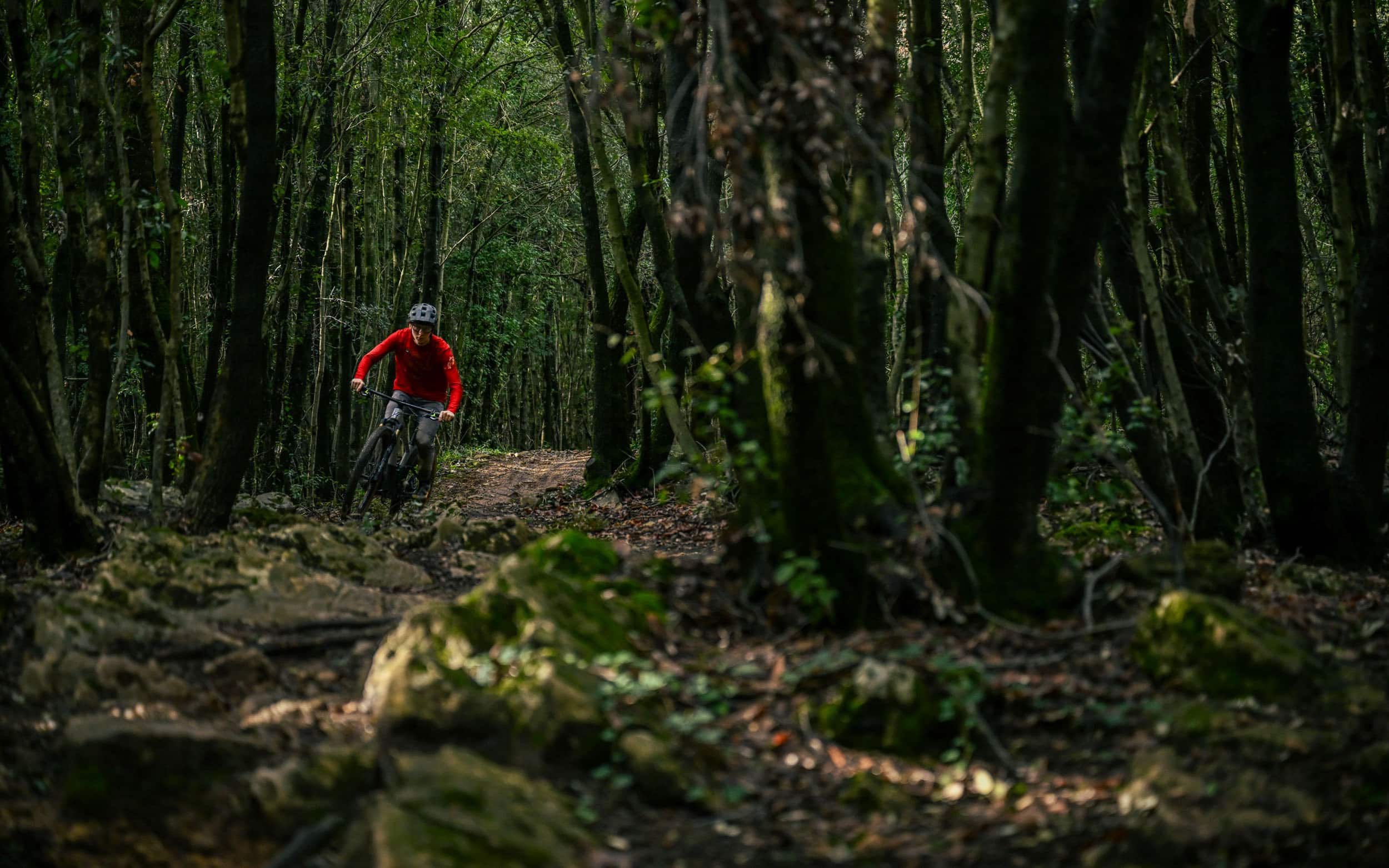 https://www.vojomag.com/app/uploads/2024/05/Lee Cougan Crossfire Trail 2024 test Vojo A.Protano 1 4.jpg