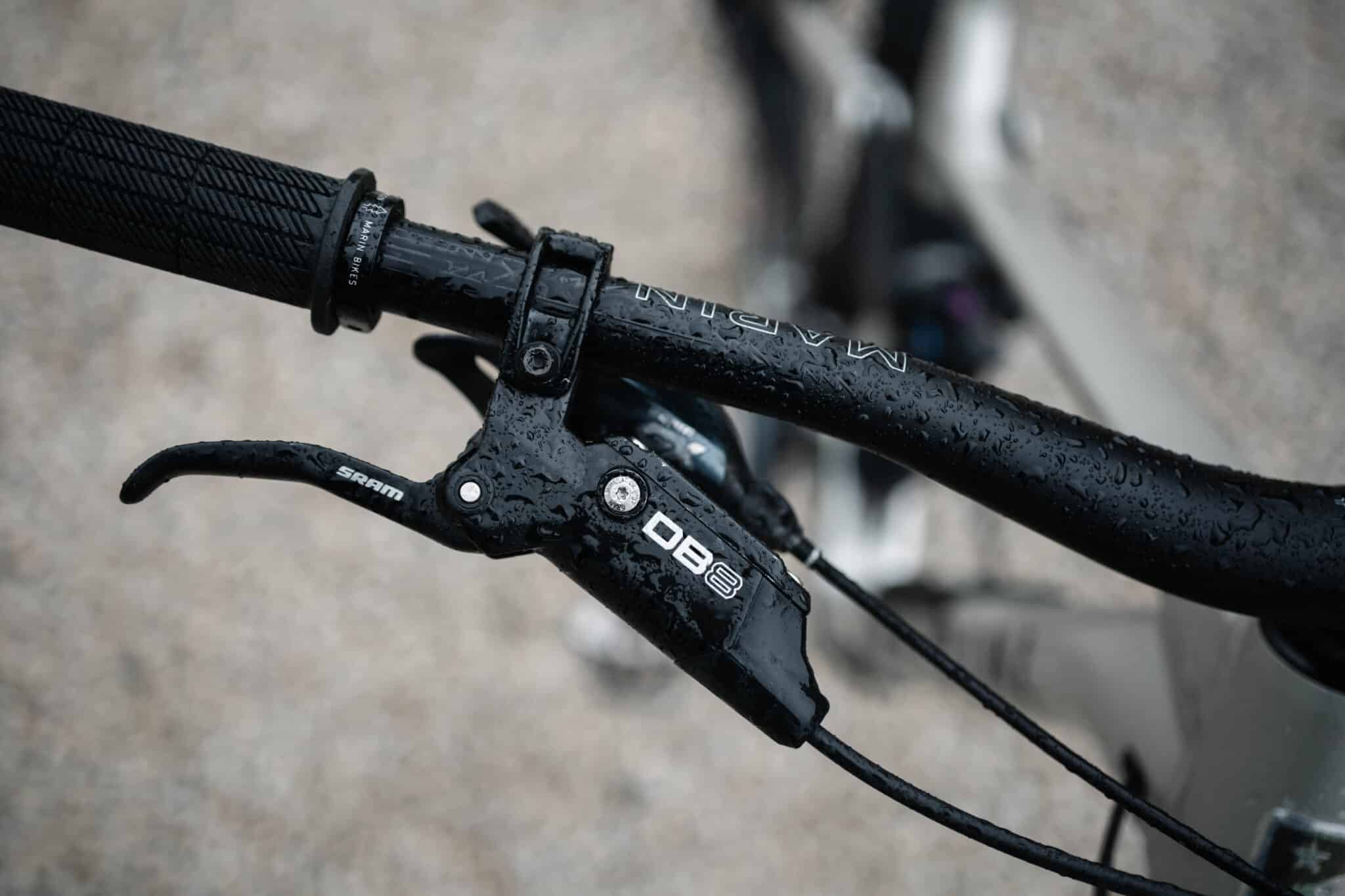 https://www.vojomag.com/app/uploads/2024/05/Marin Alpine Trail A.Protano Vojo 1 15 2048x1365.jpg