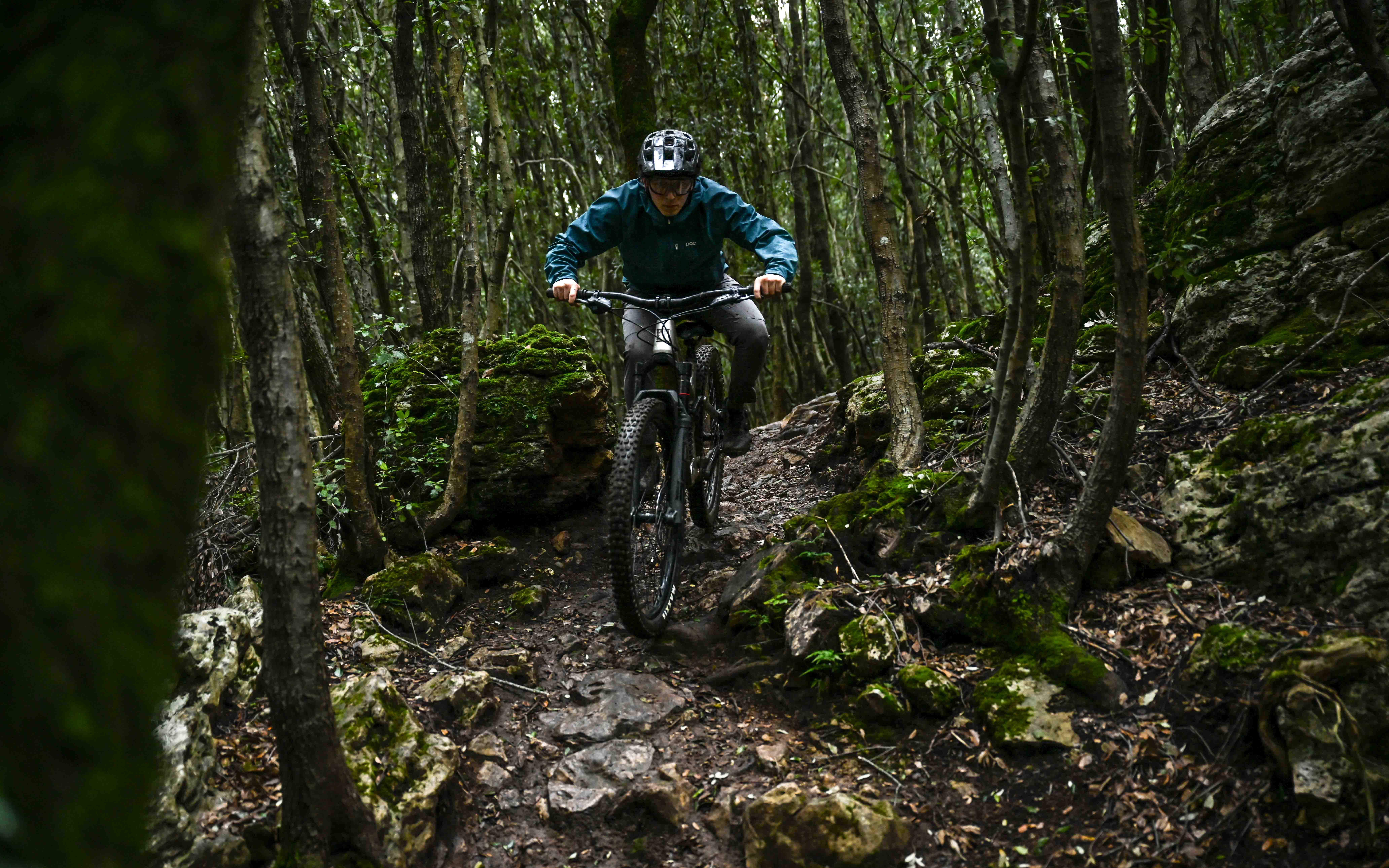 https://www.vojomag.com/app/uploads/2024/05/Marin Alpine Trail A.Protano Vojo 1 9.jpg